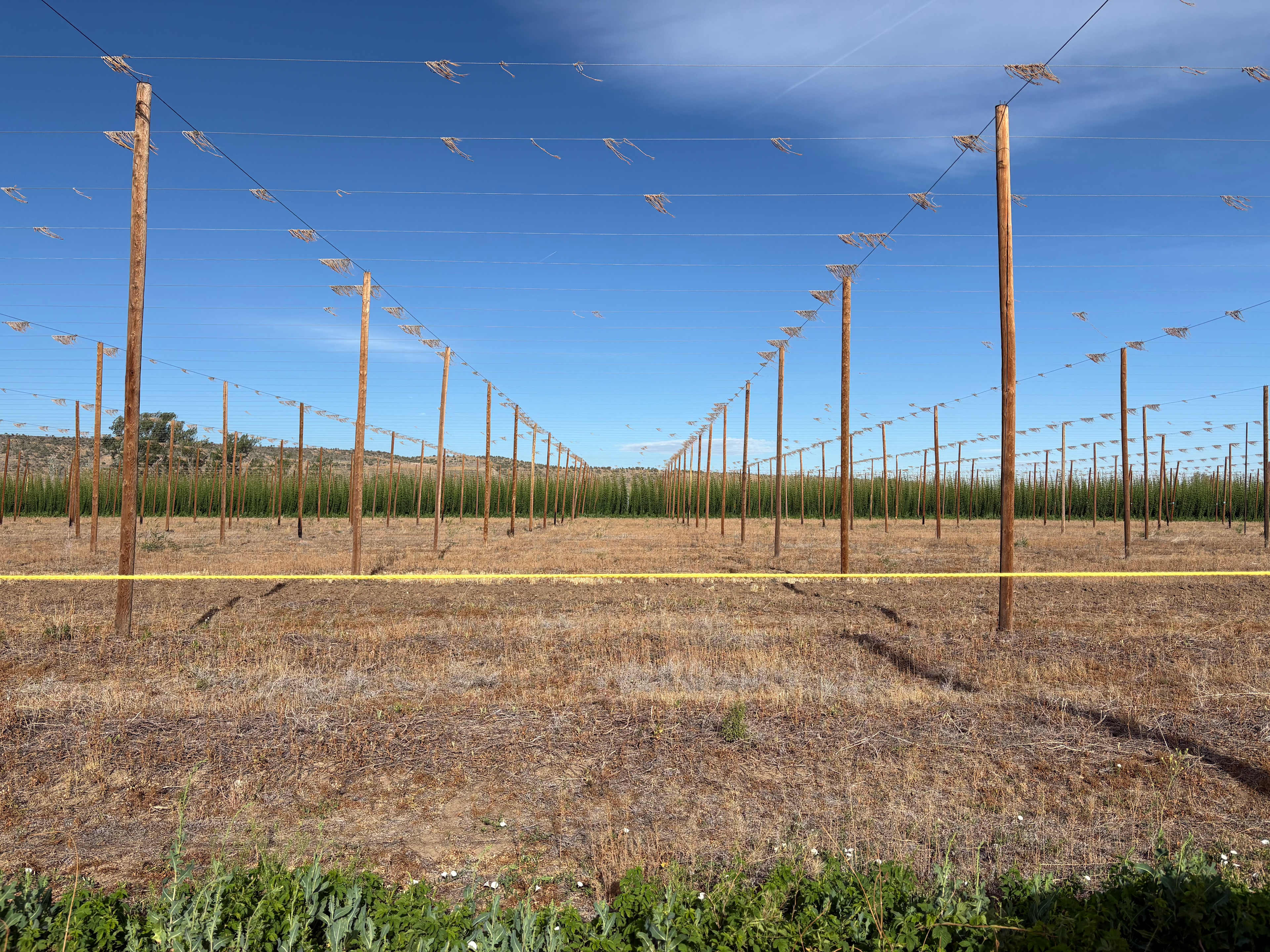 The Hop Yard Hideaway