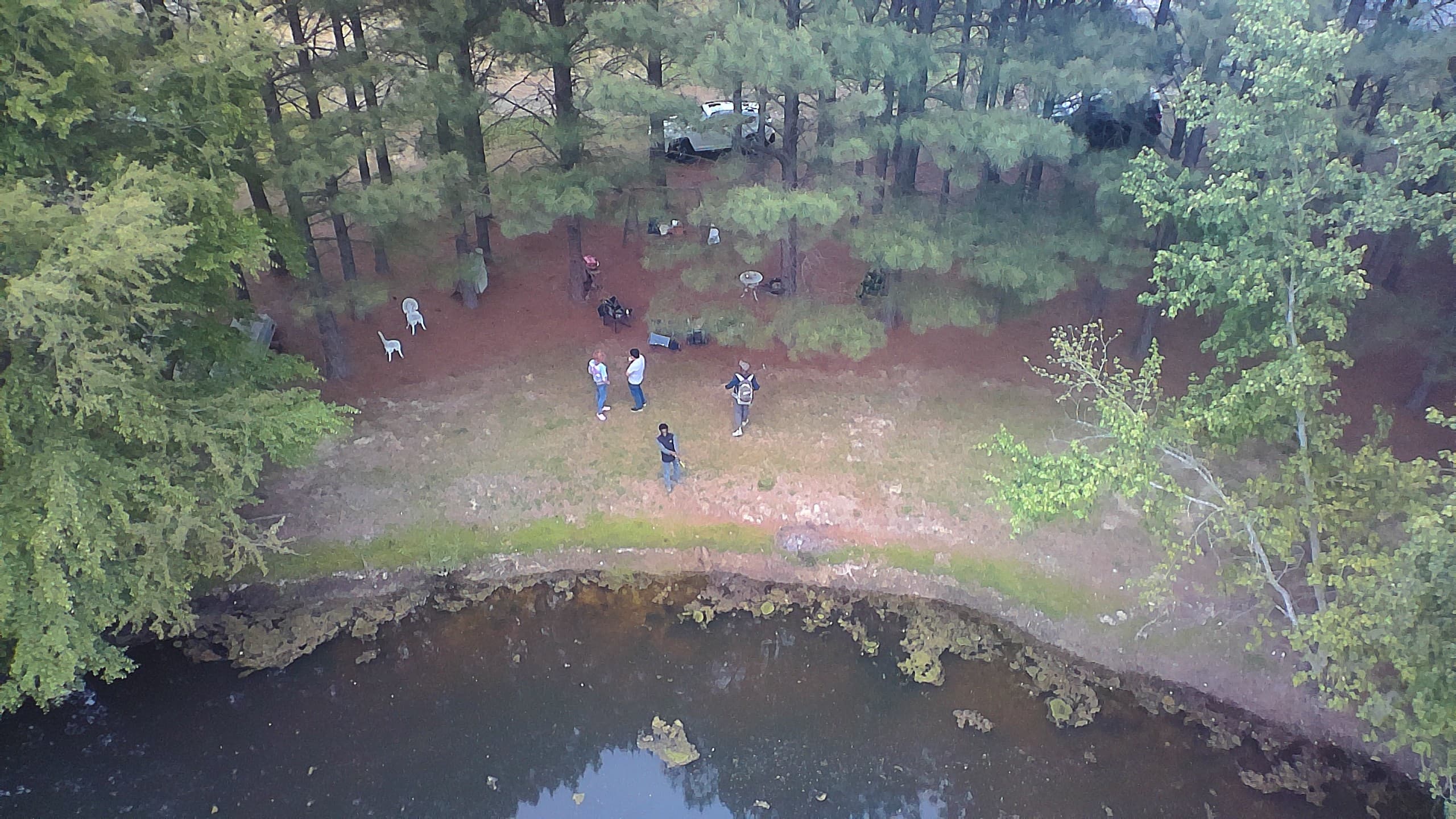 Picture of the site
