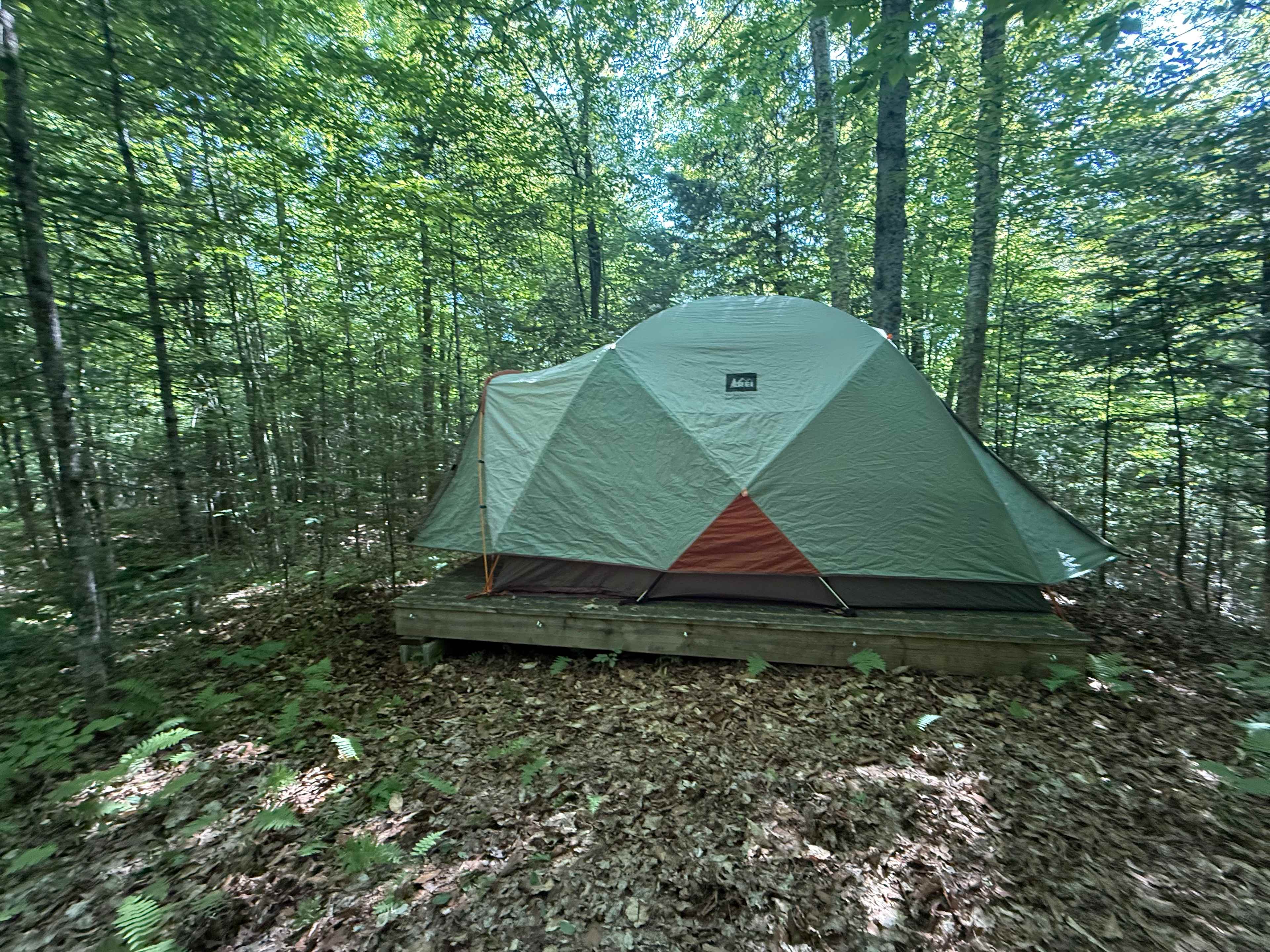 Ample space for 6-man tent. Surrounded by trees in all directions.