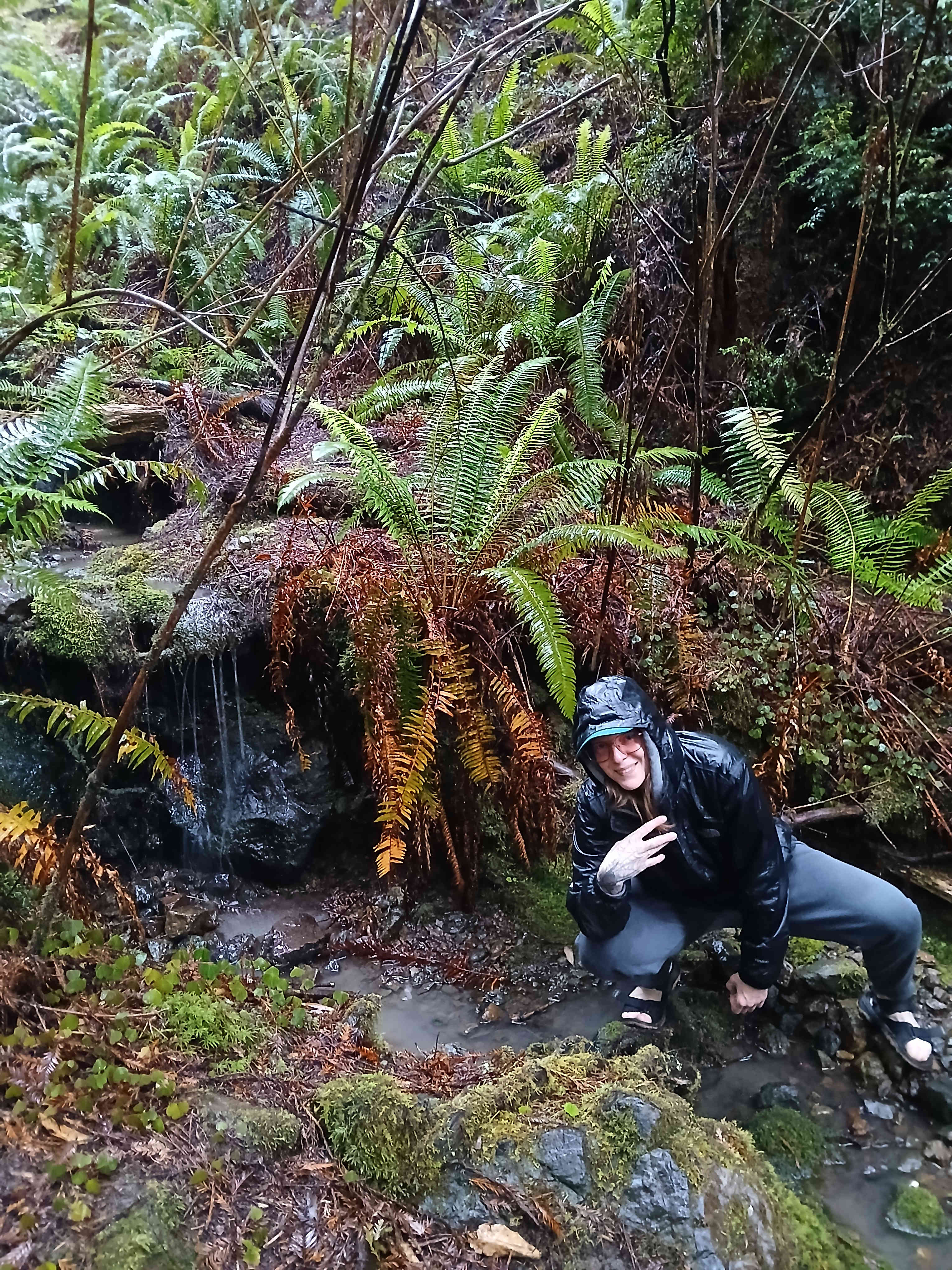 Whispering Redwood Creek