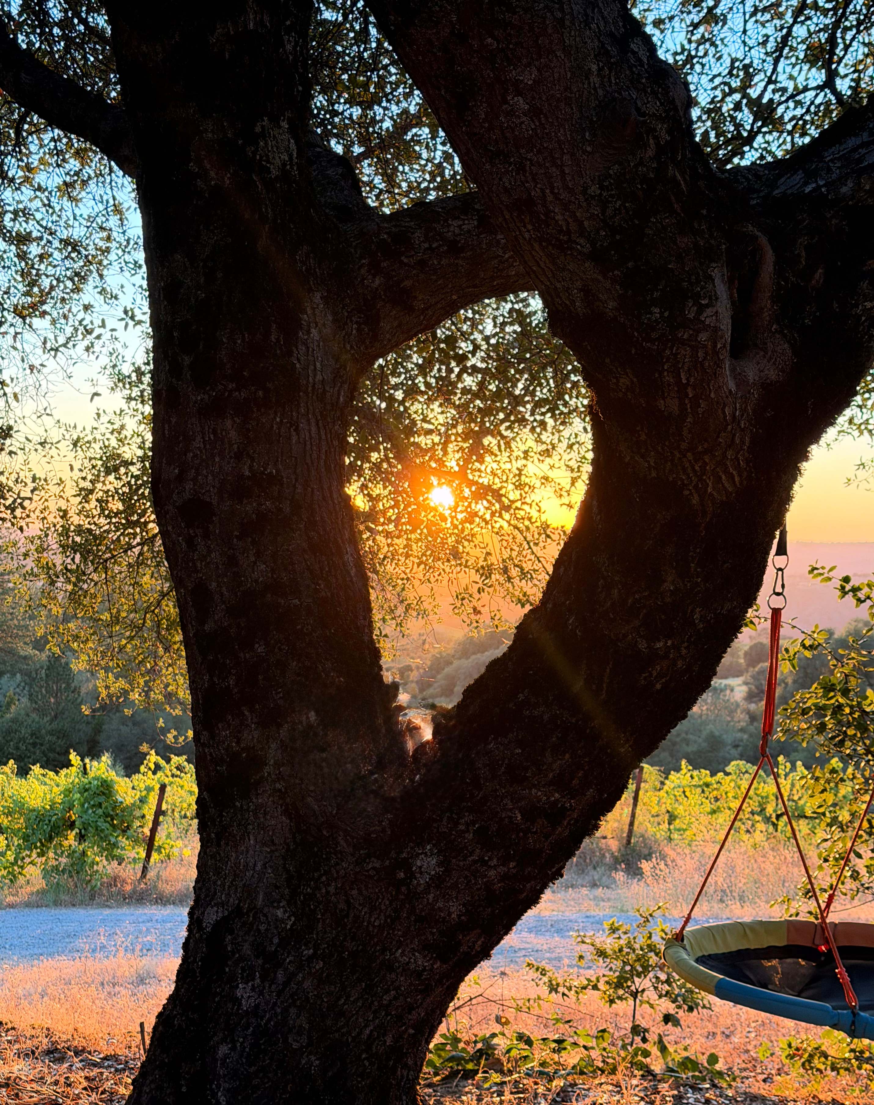 Sunset. 