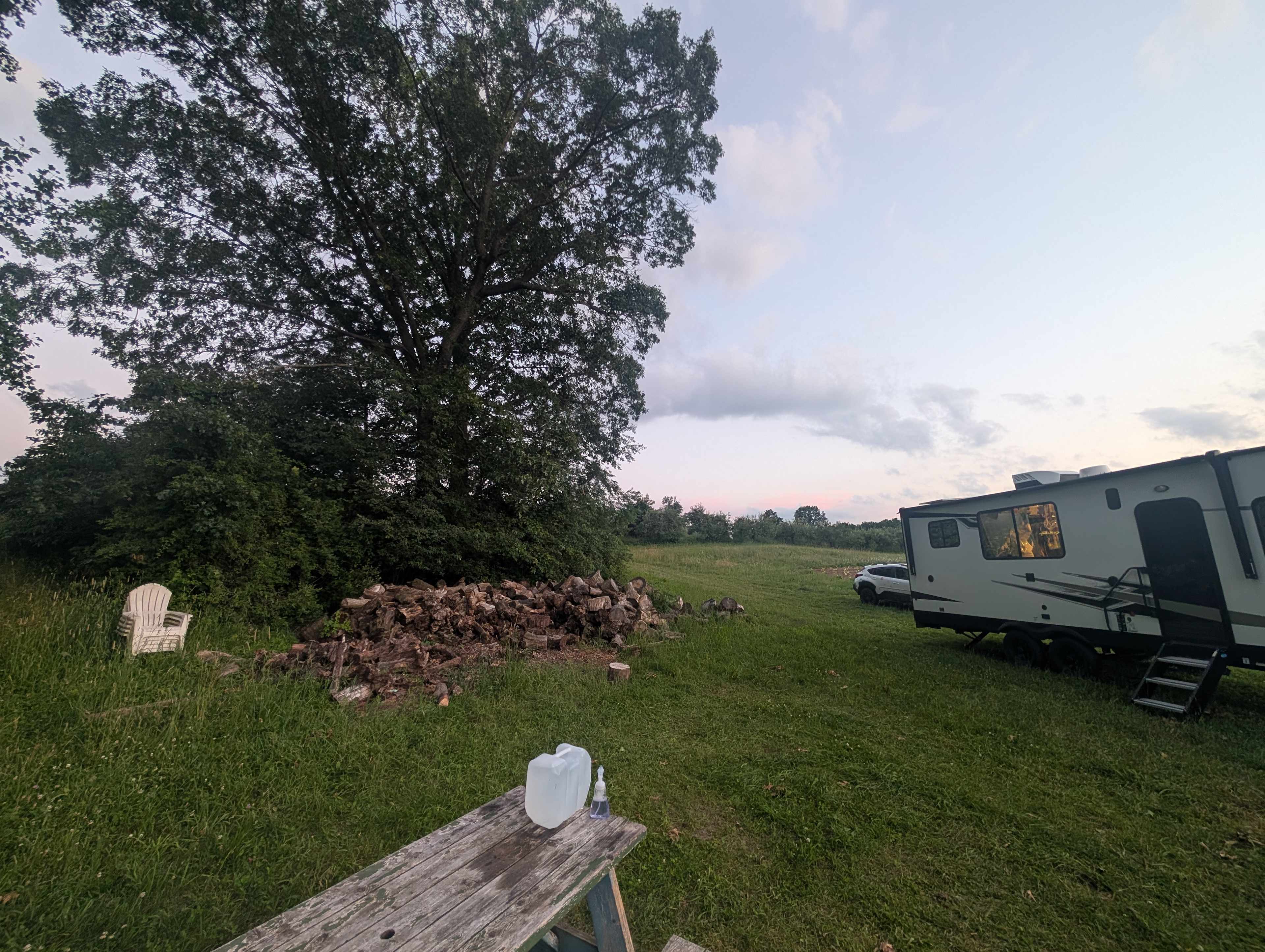 Organic Apple Orchard and Farm