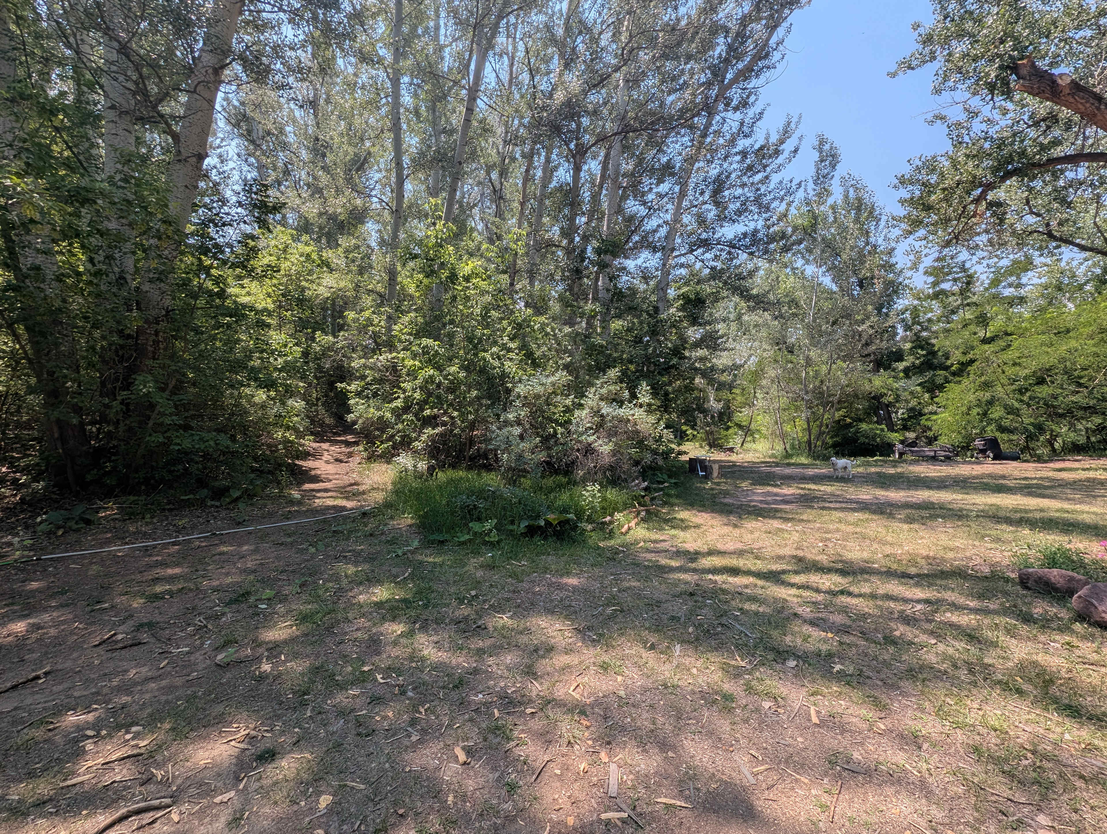 Picture of the site