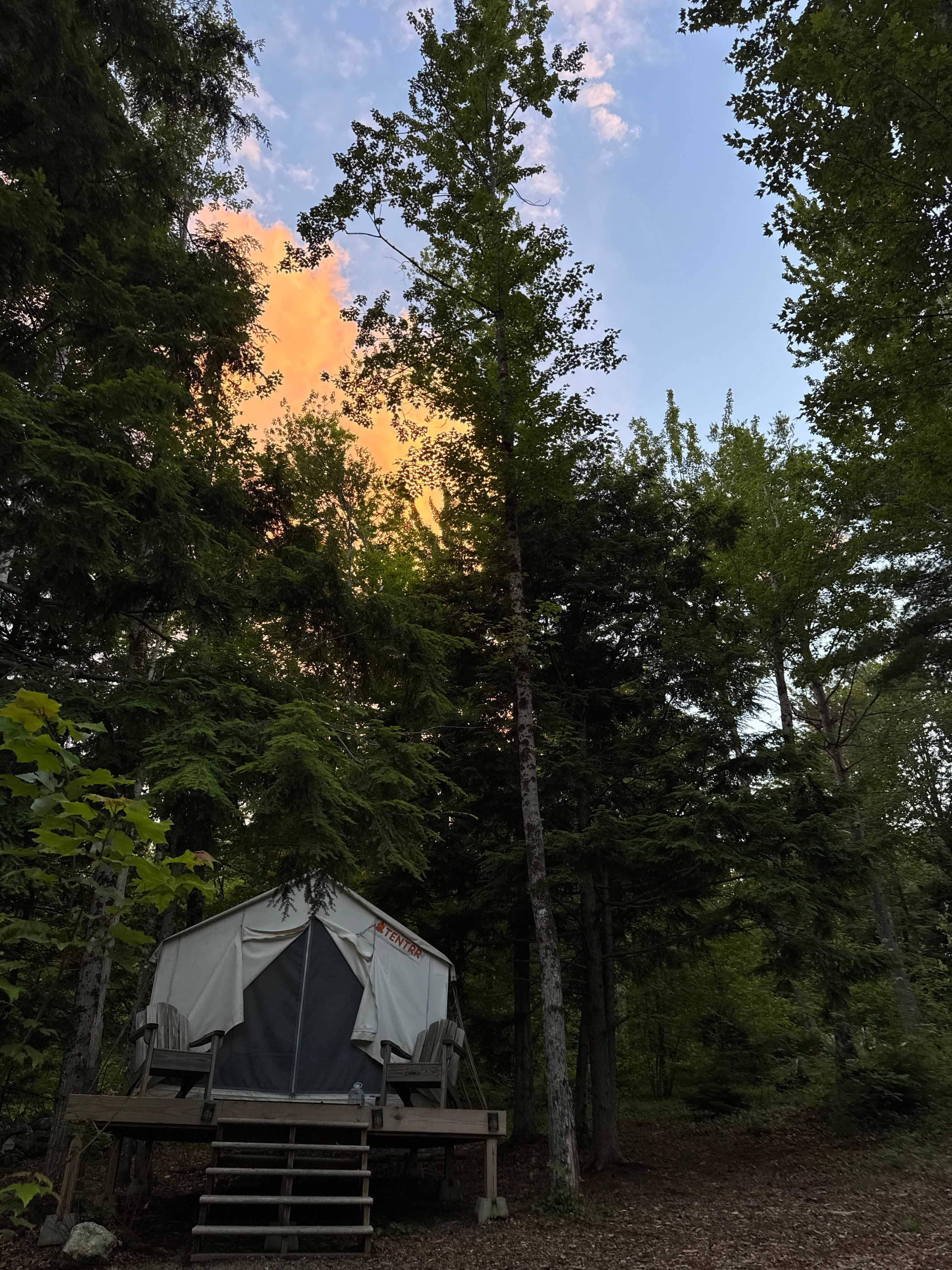Butter Hill Hideaway-Forest Retreat