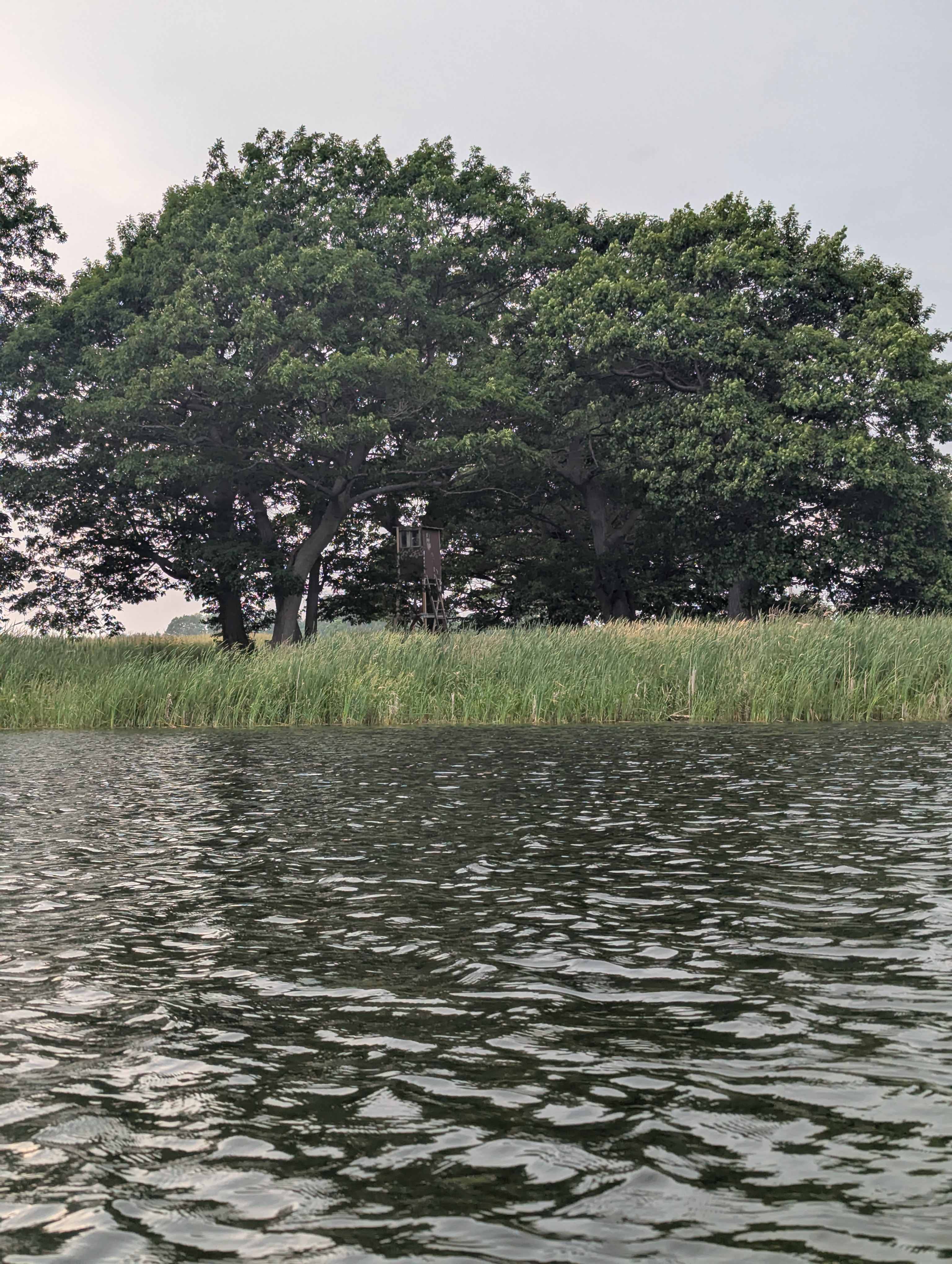 Windpsalm Acres