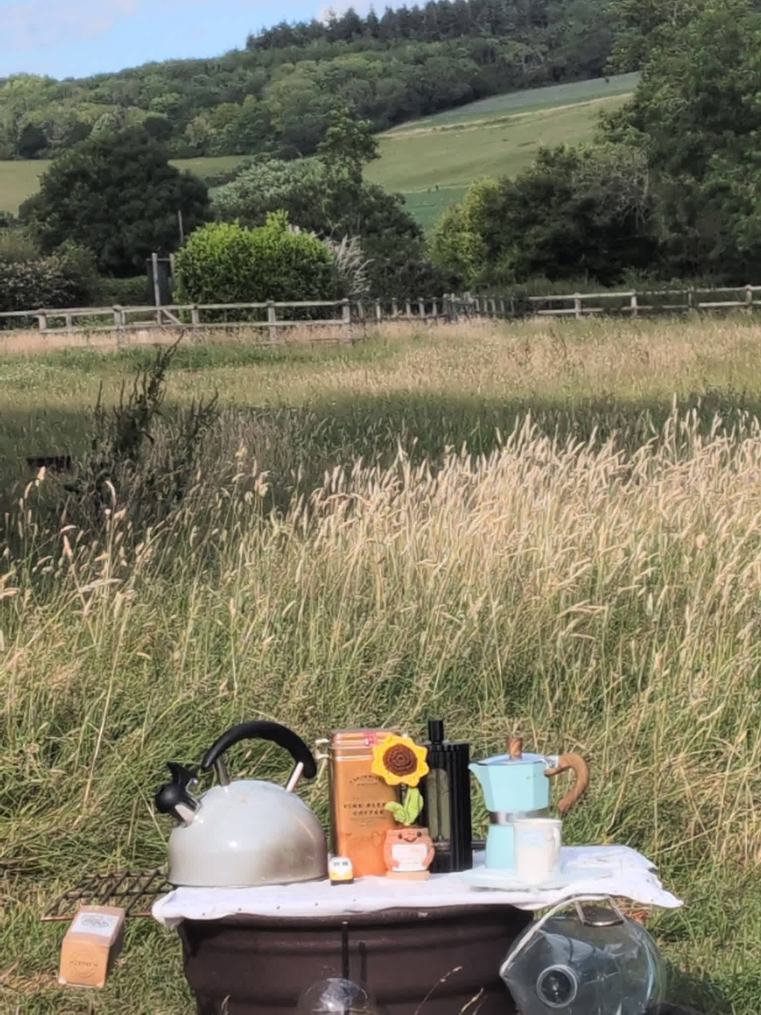Lordington Park Camping