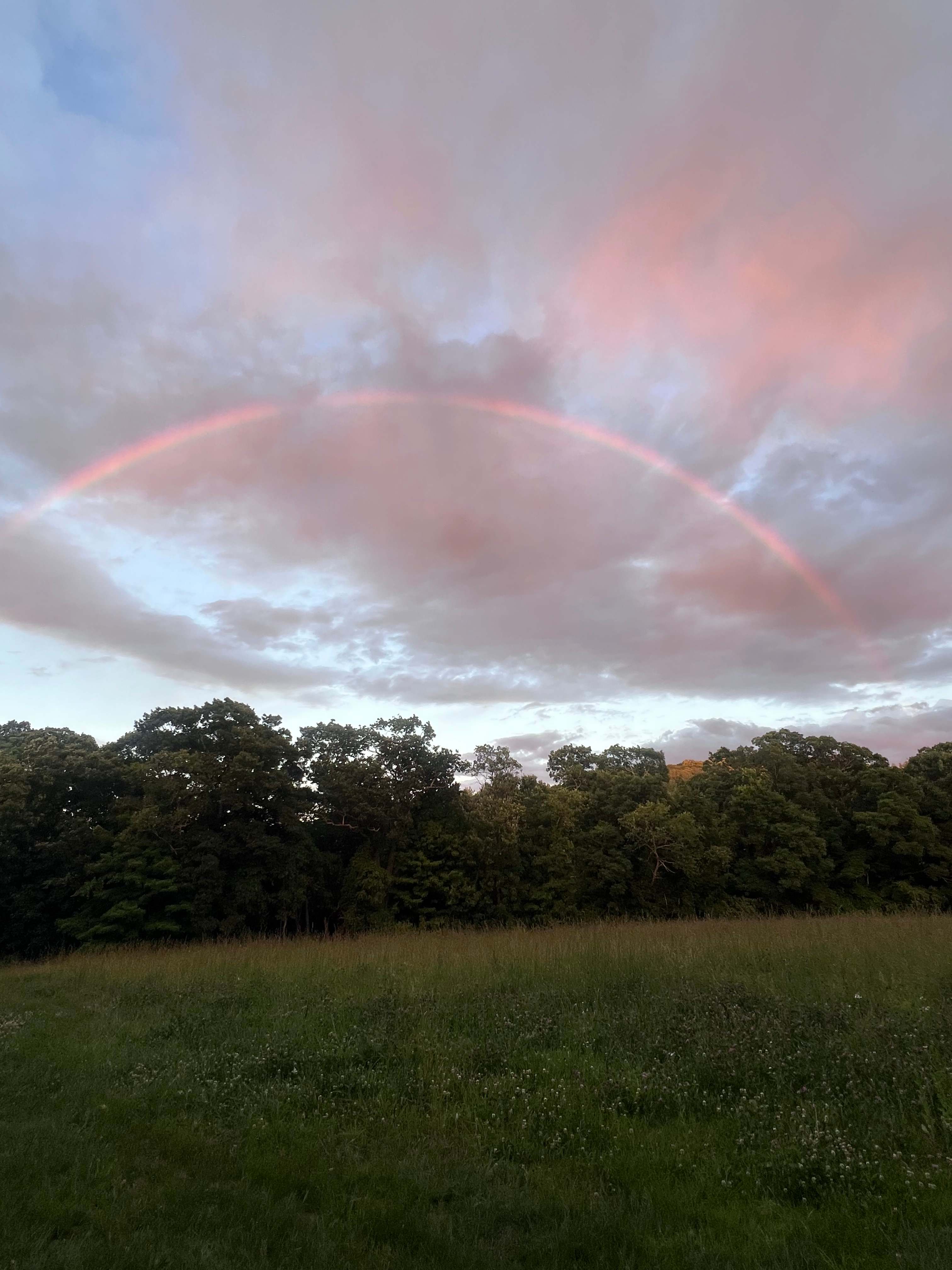 Goodfield Farm Rustic Camping