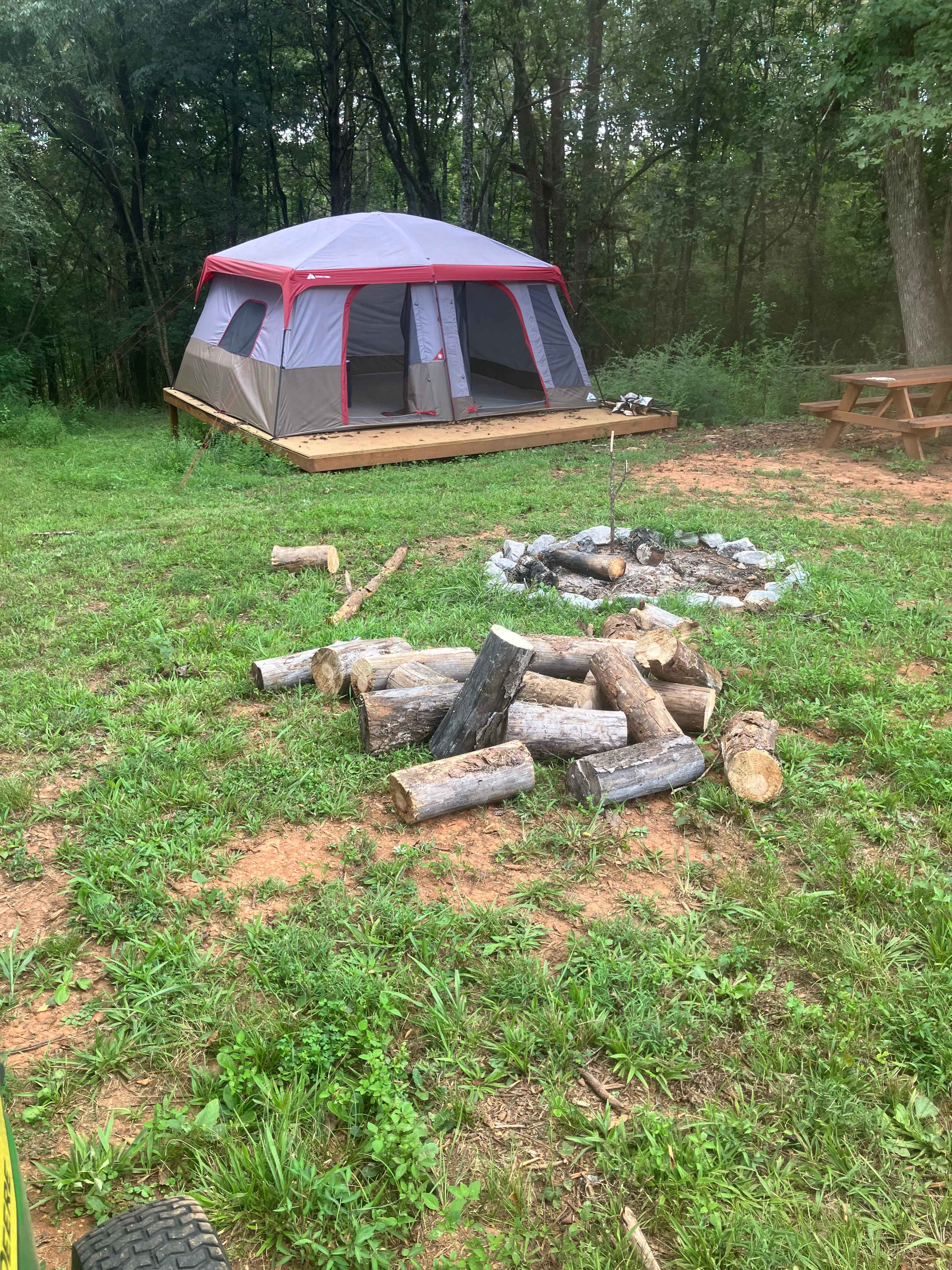Picture of the site