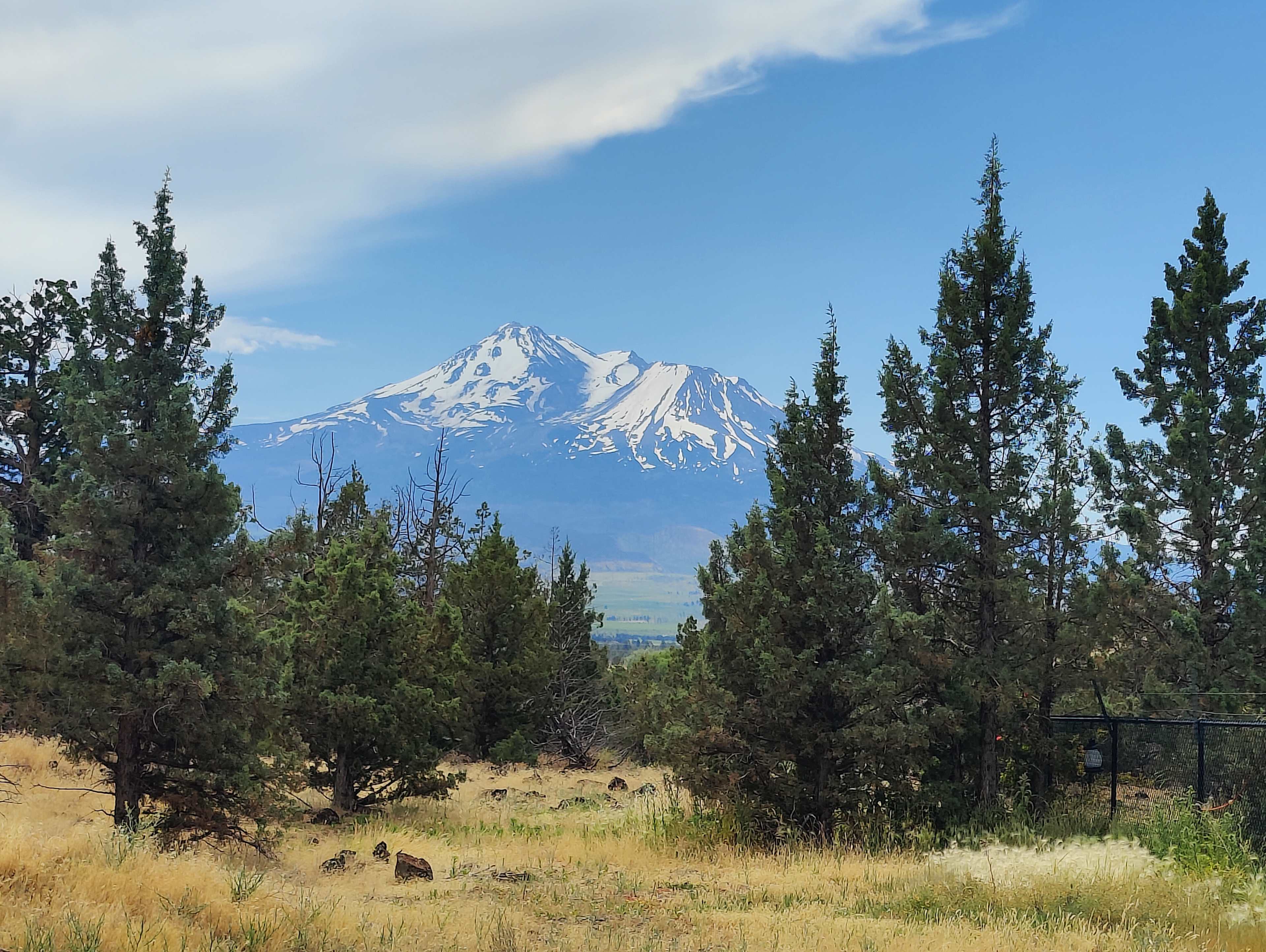Mount Shasta View Camping