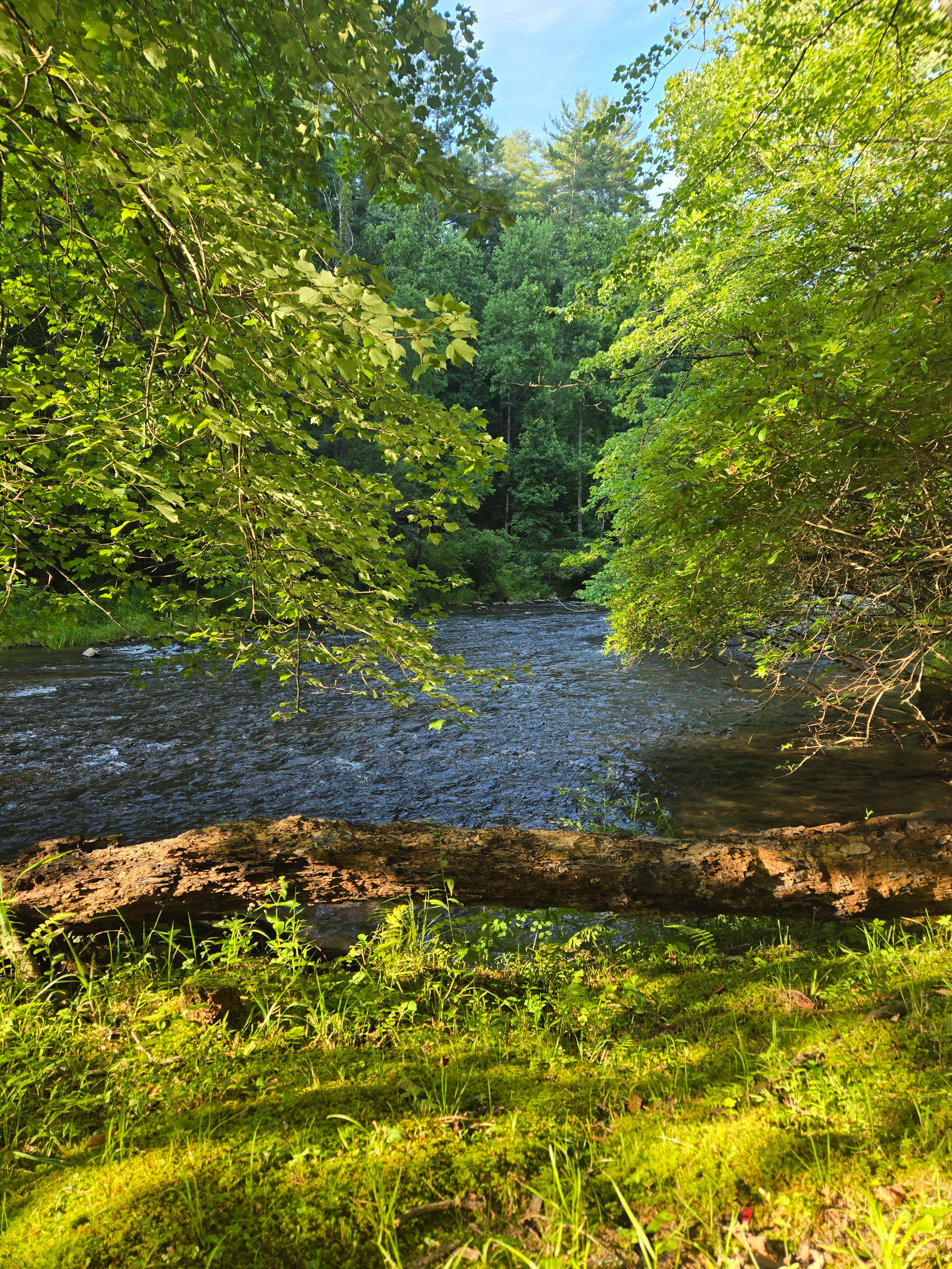 Toccoa River Cabin