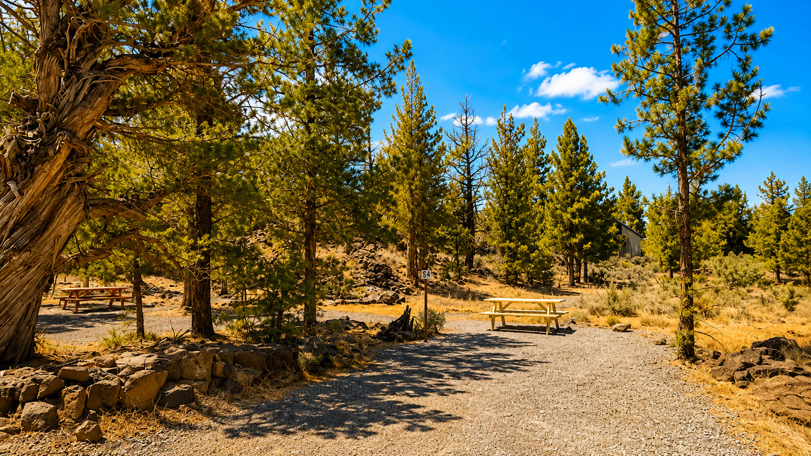 Roadhouse Ranch & Camp