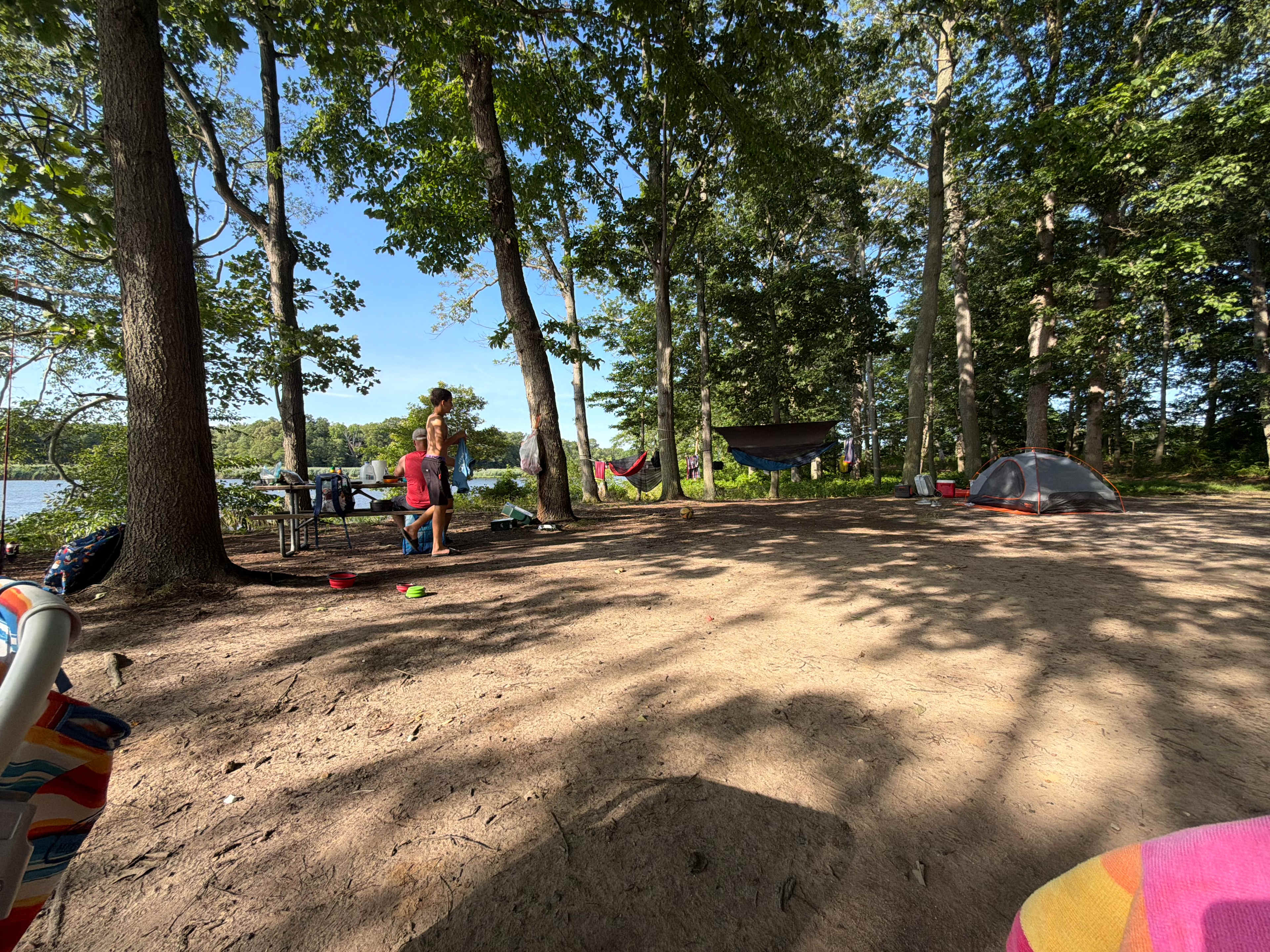 Plenty of trees for hammocks!