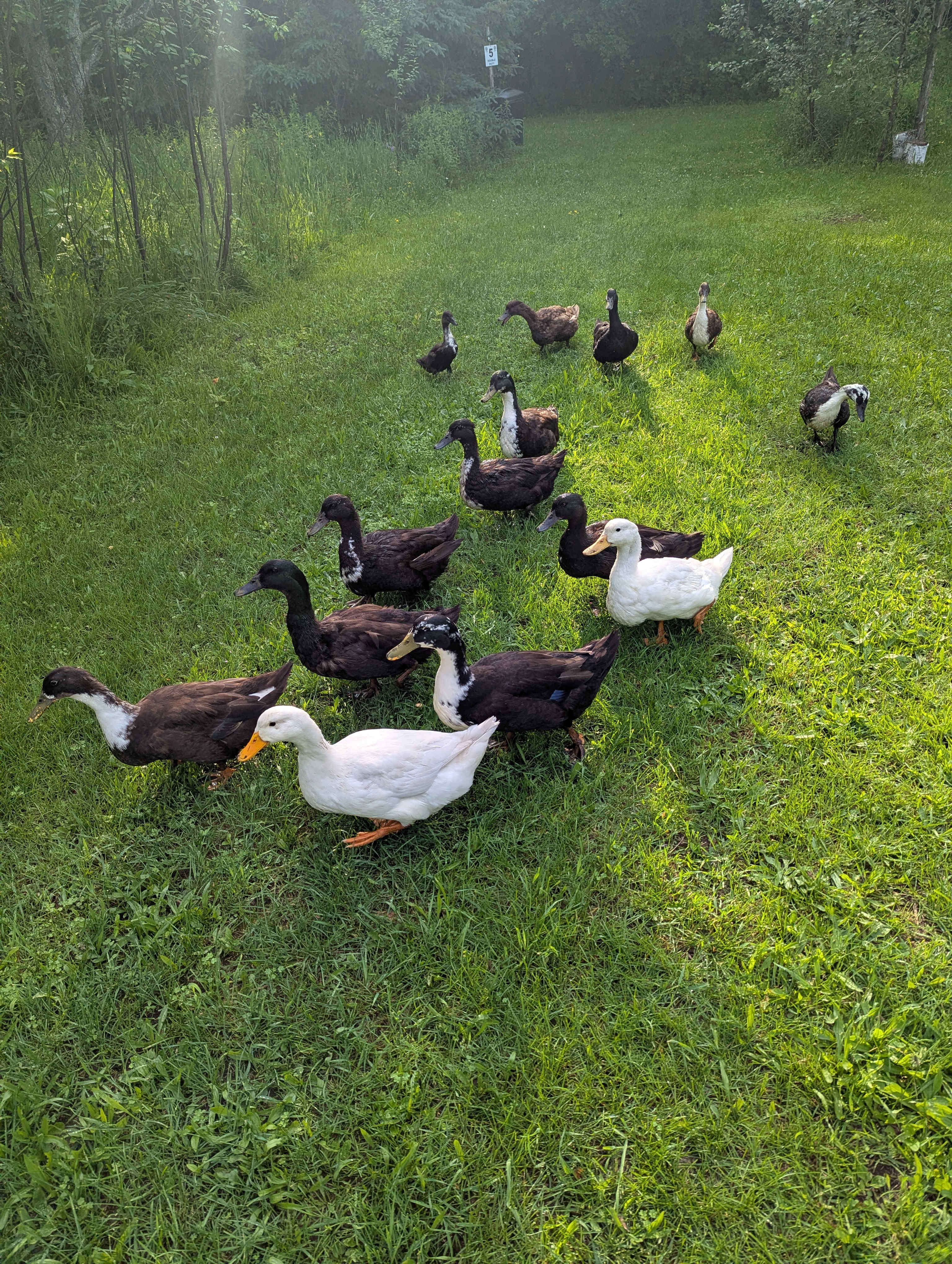 Burke’s Barnyard - Farm Camping
