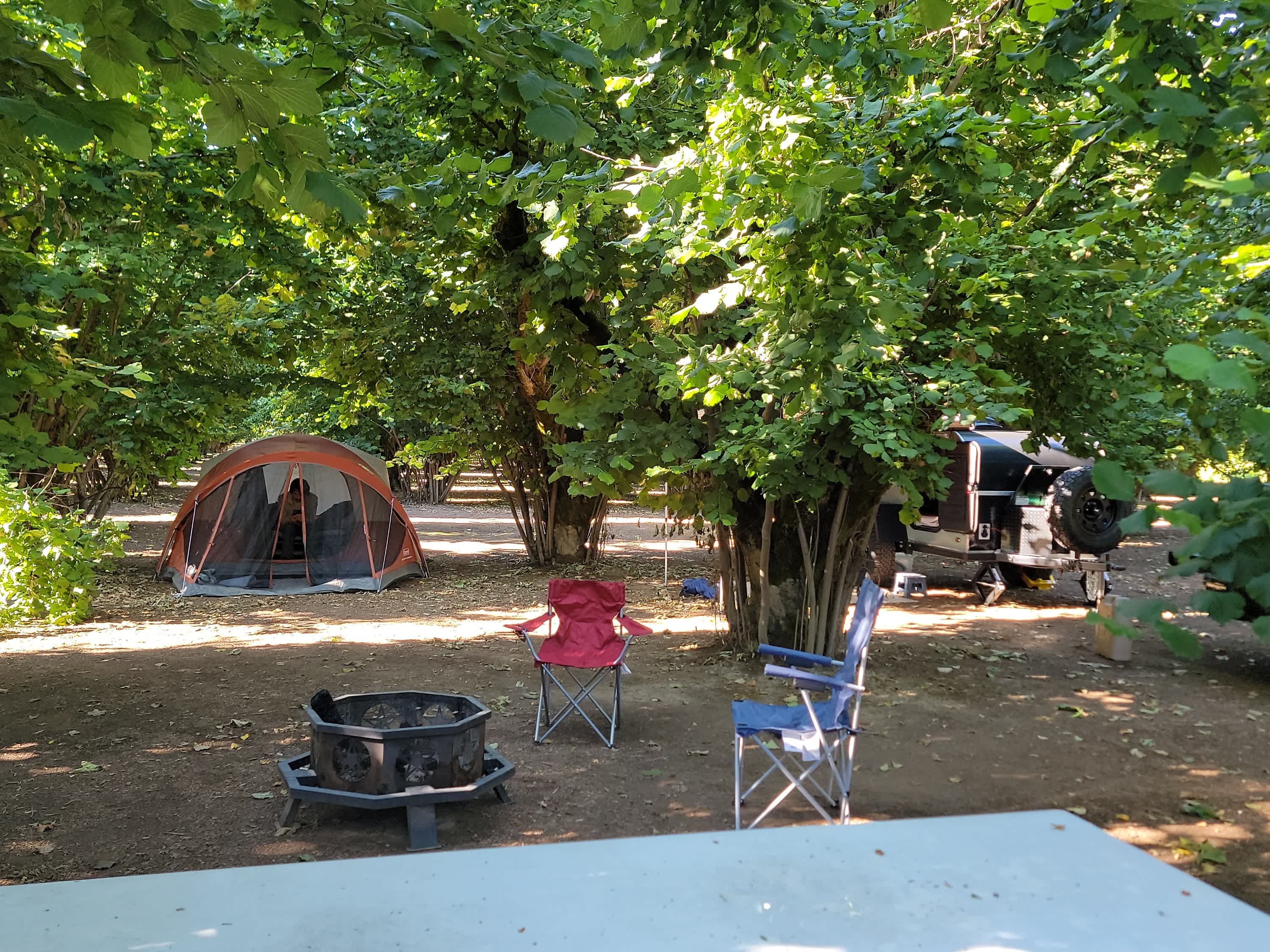 Tranquil Orchard and Wine Tours