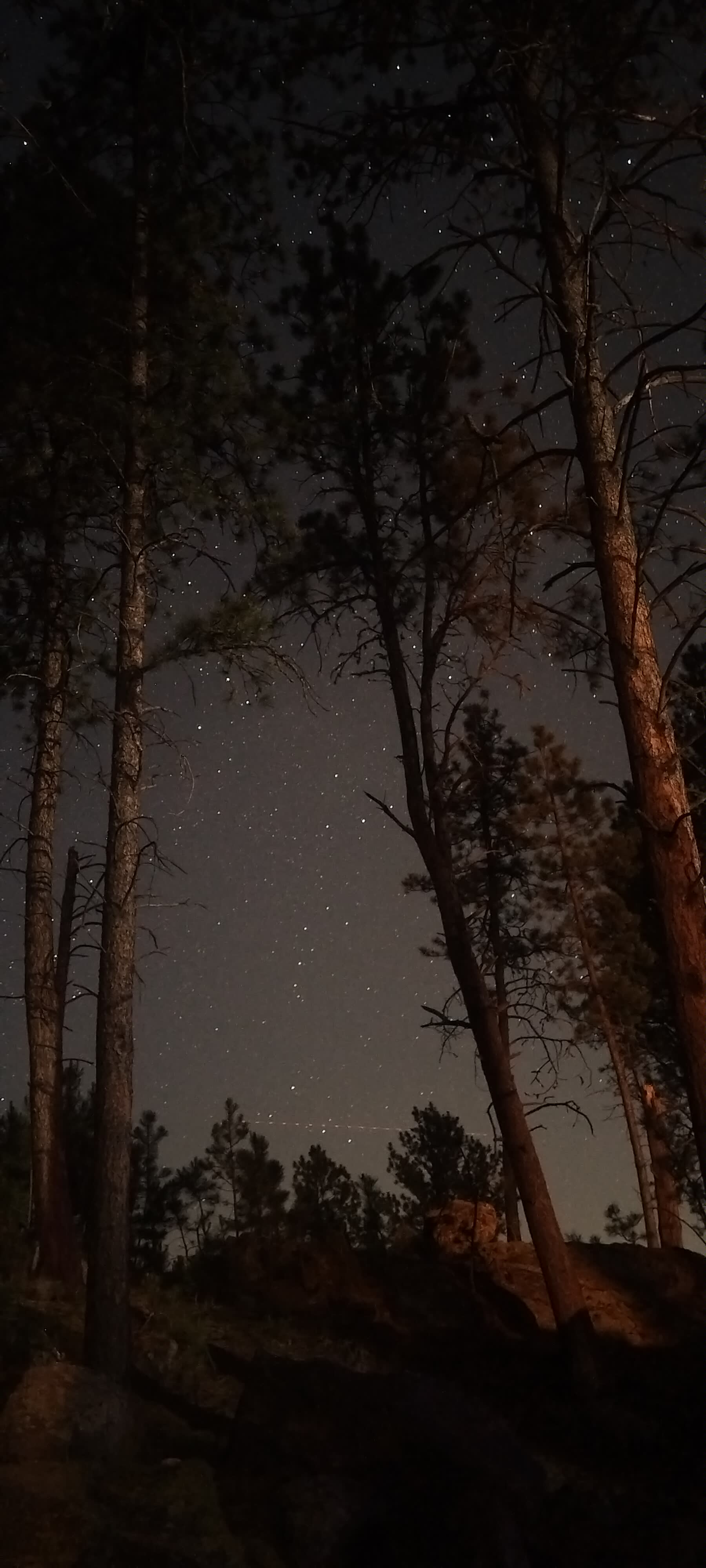 Night sky