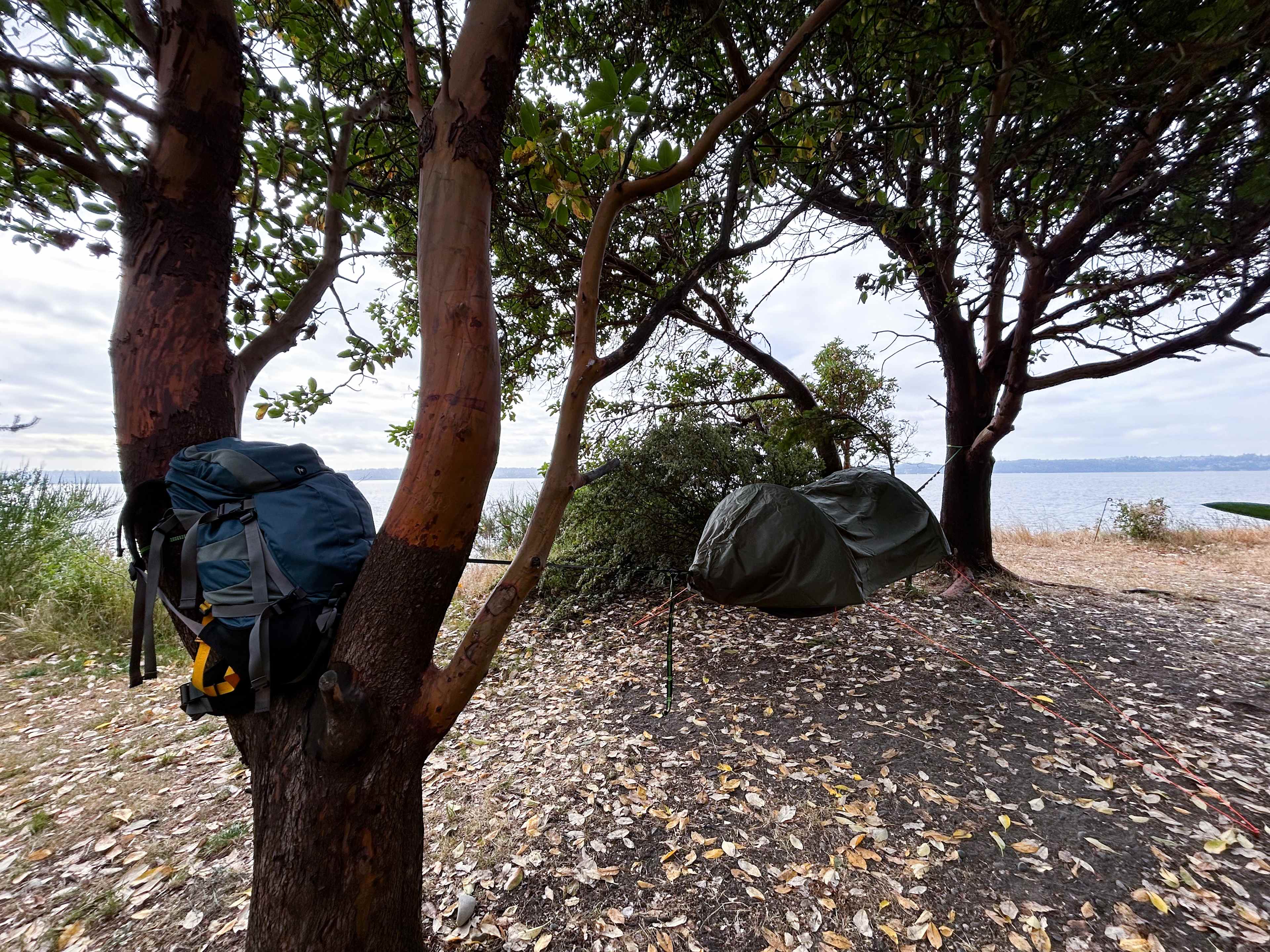 Perfect for a hammock tent in Site 4
