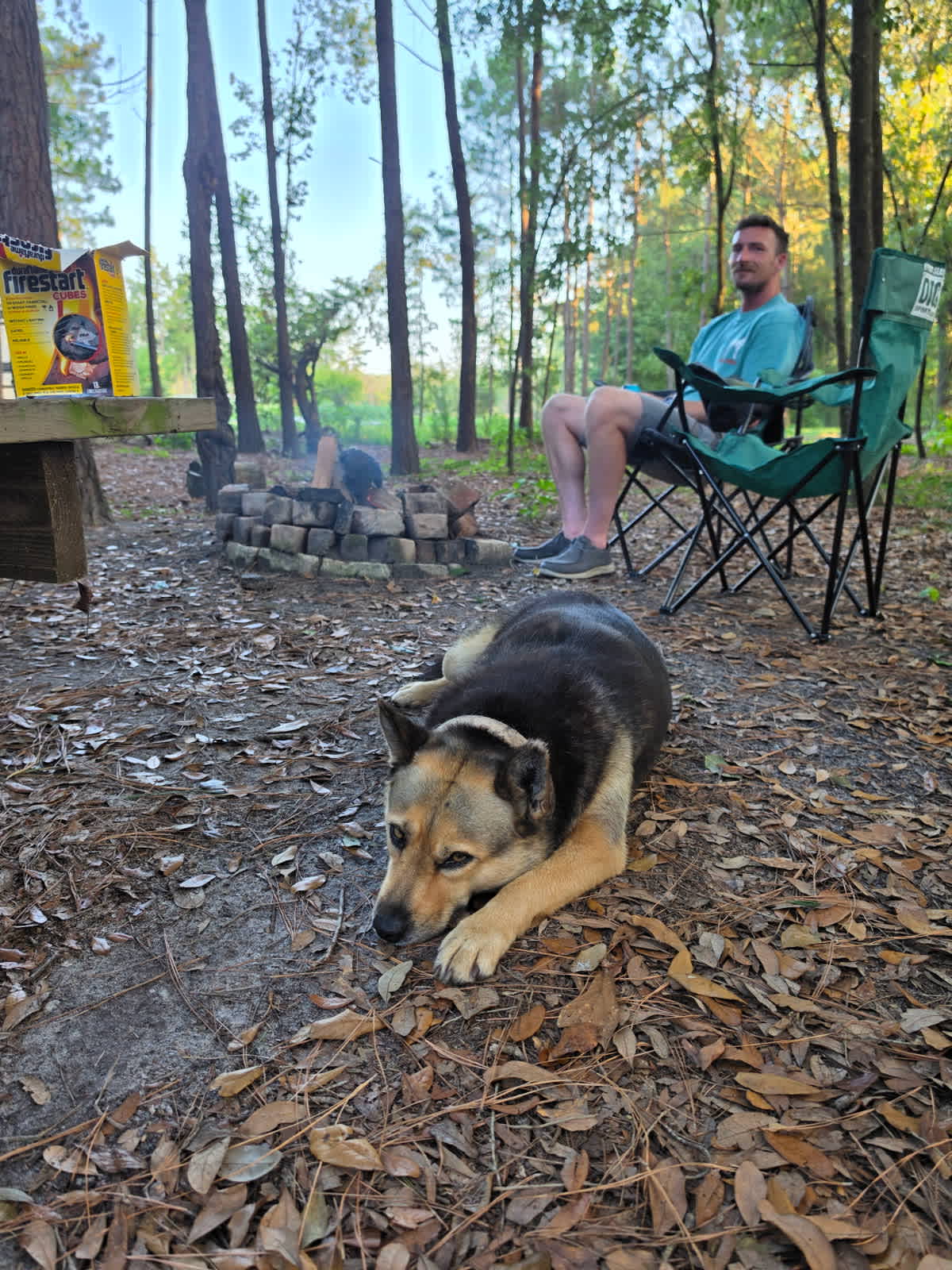 Bolt the farm dog