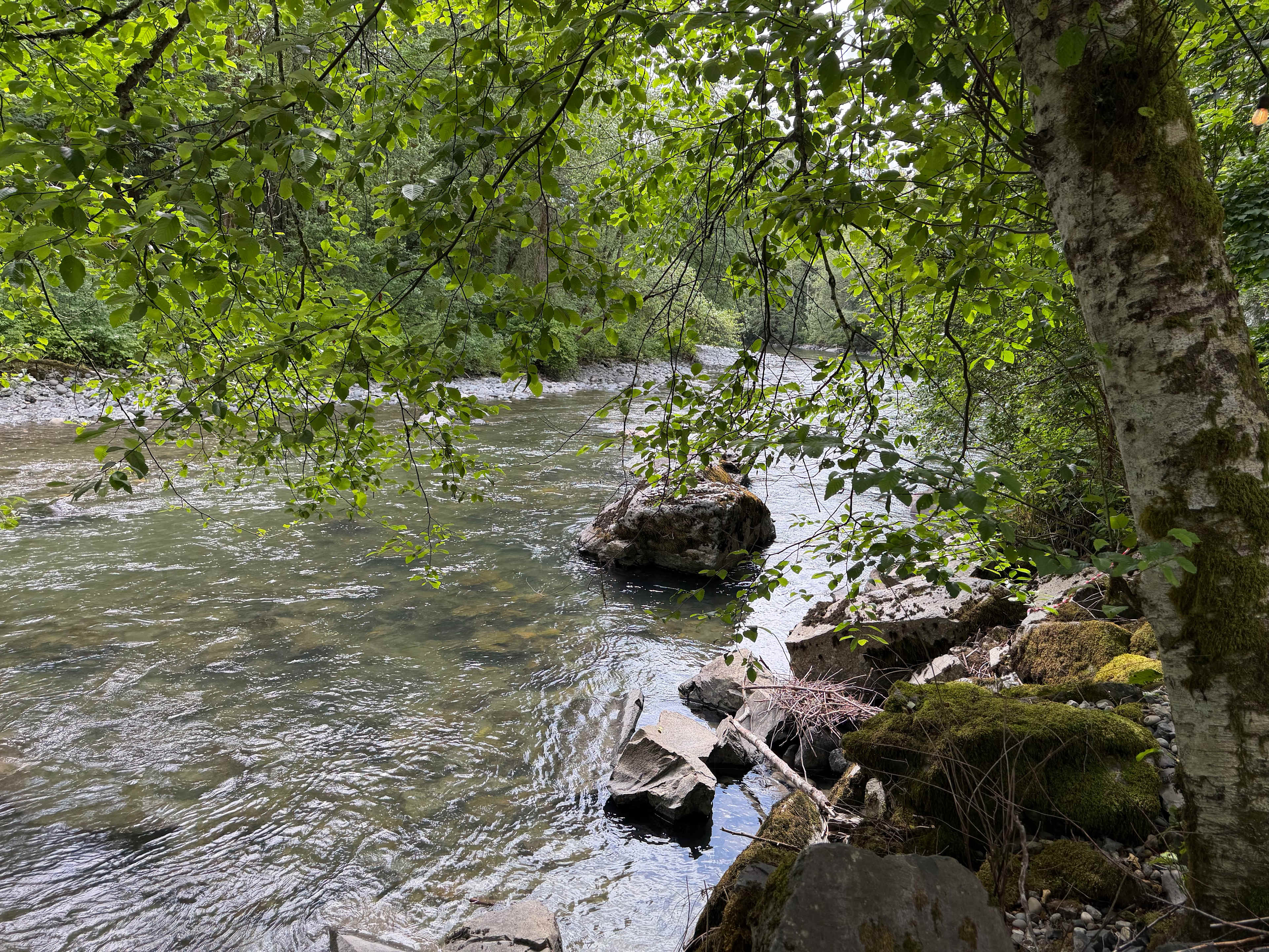 Marvin N’s River Mountain Oasis