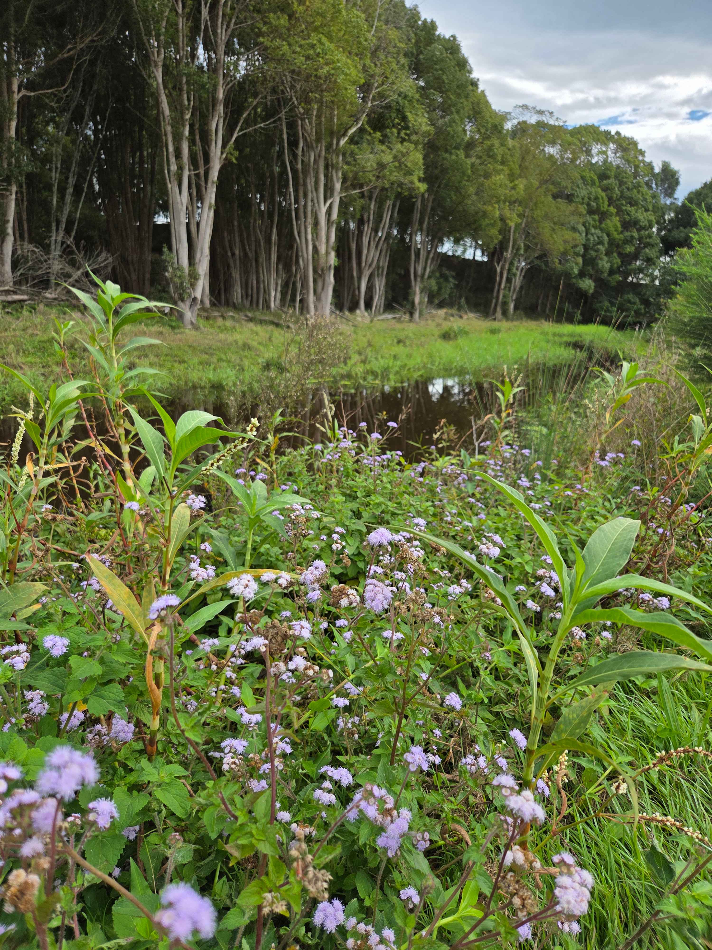 Pottsville Farm