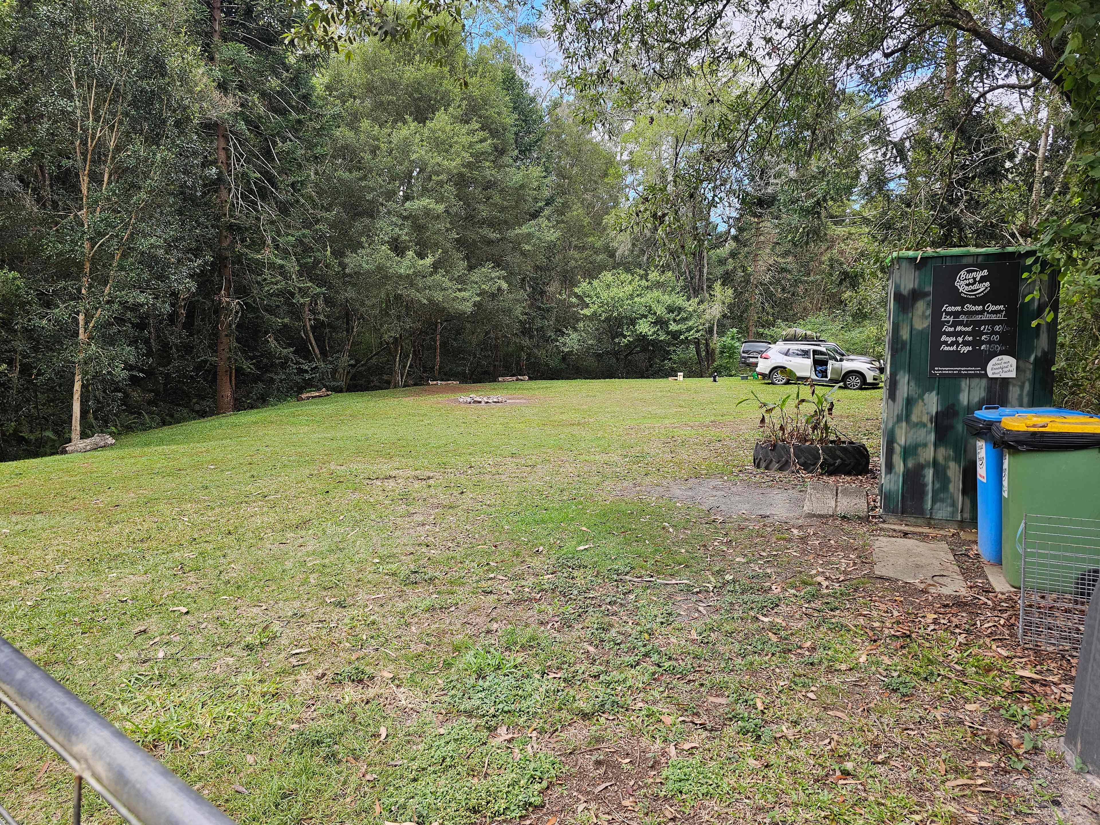 Bunya Grove