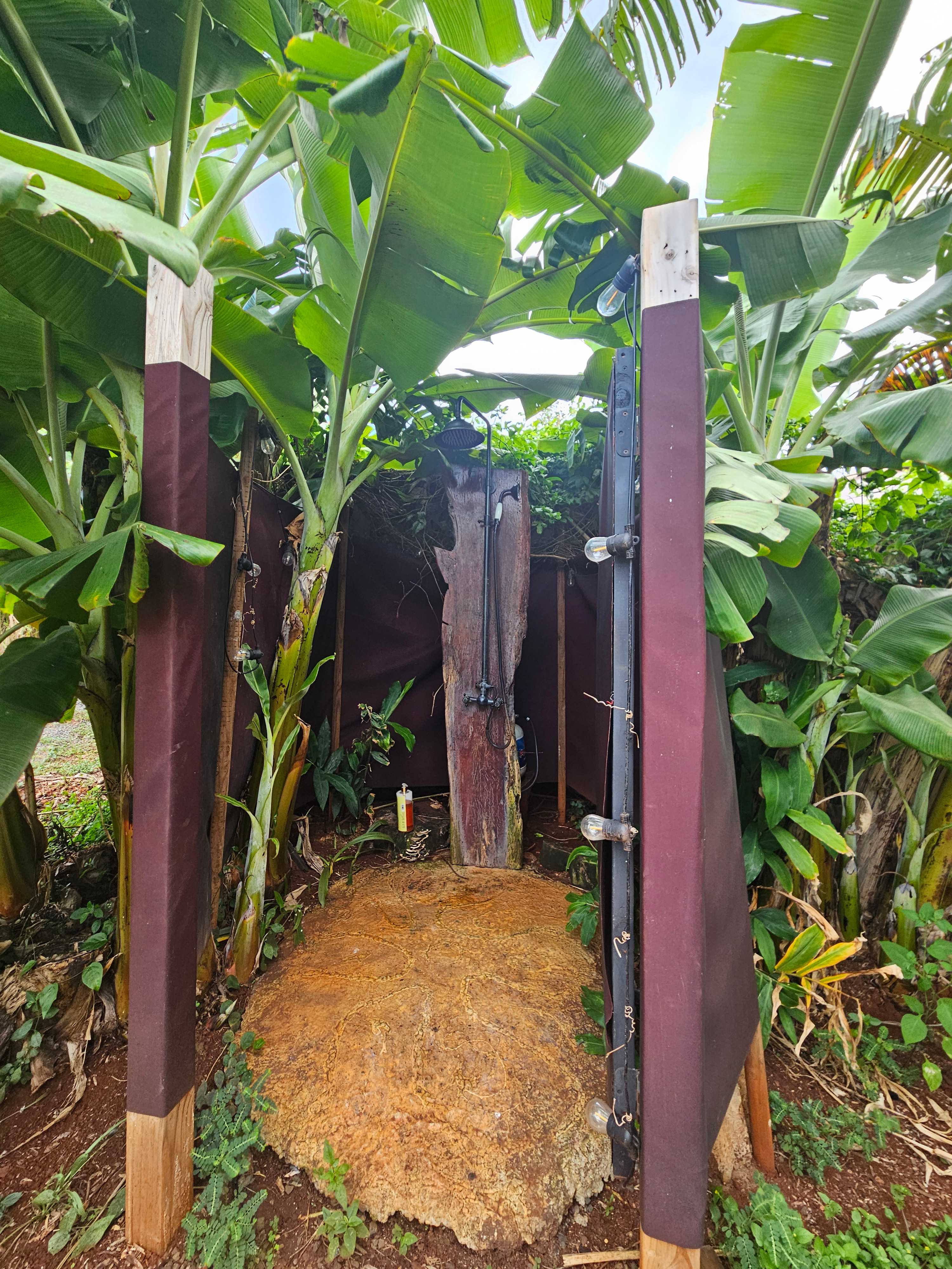Lovely outdoor shower