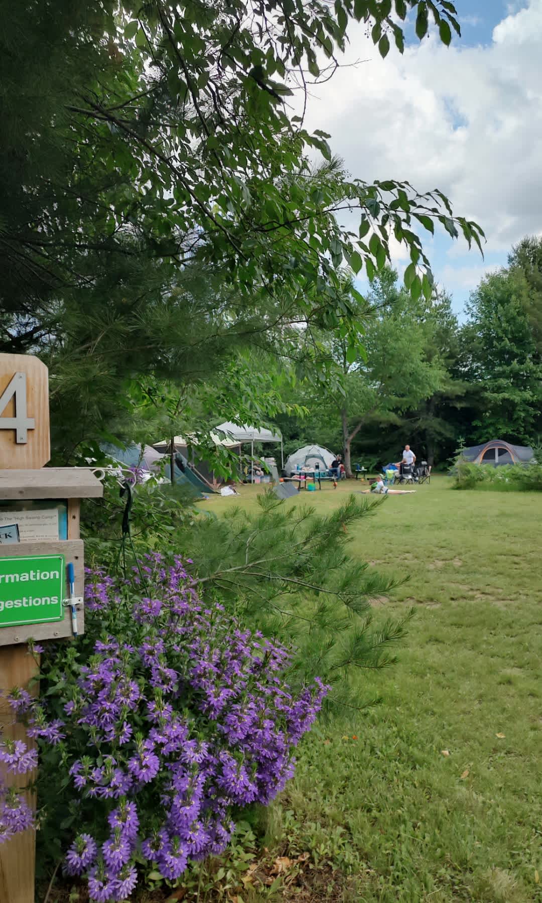 Picture of the site