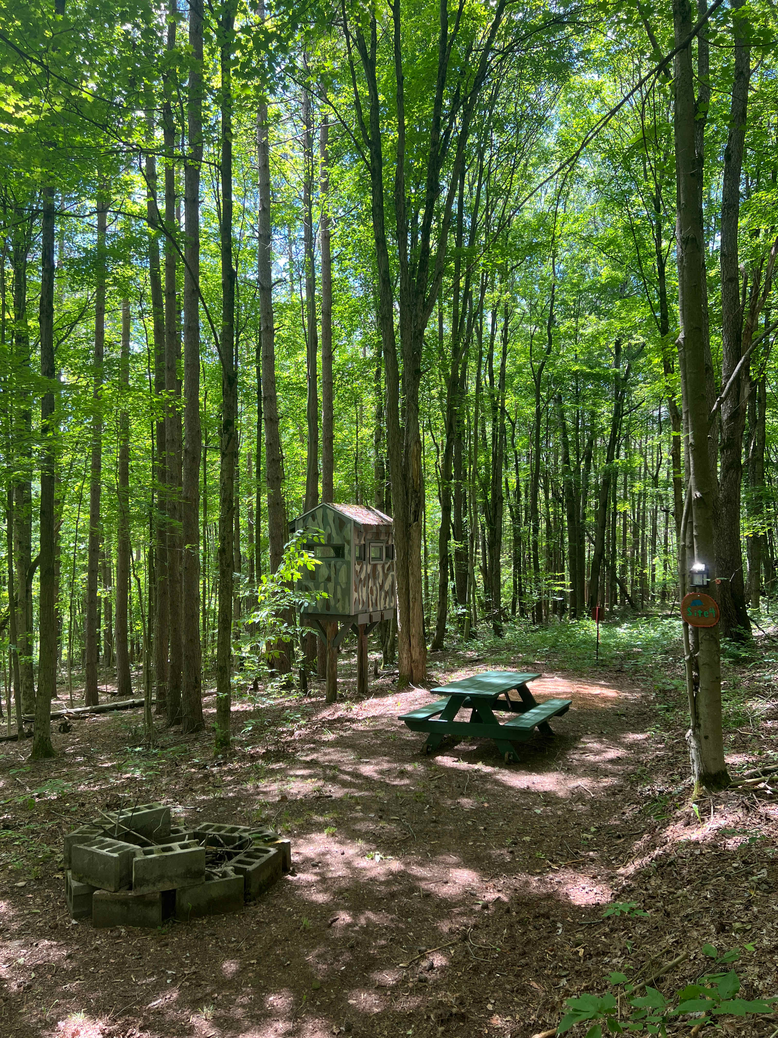 Picture of the site