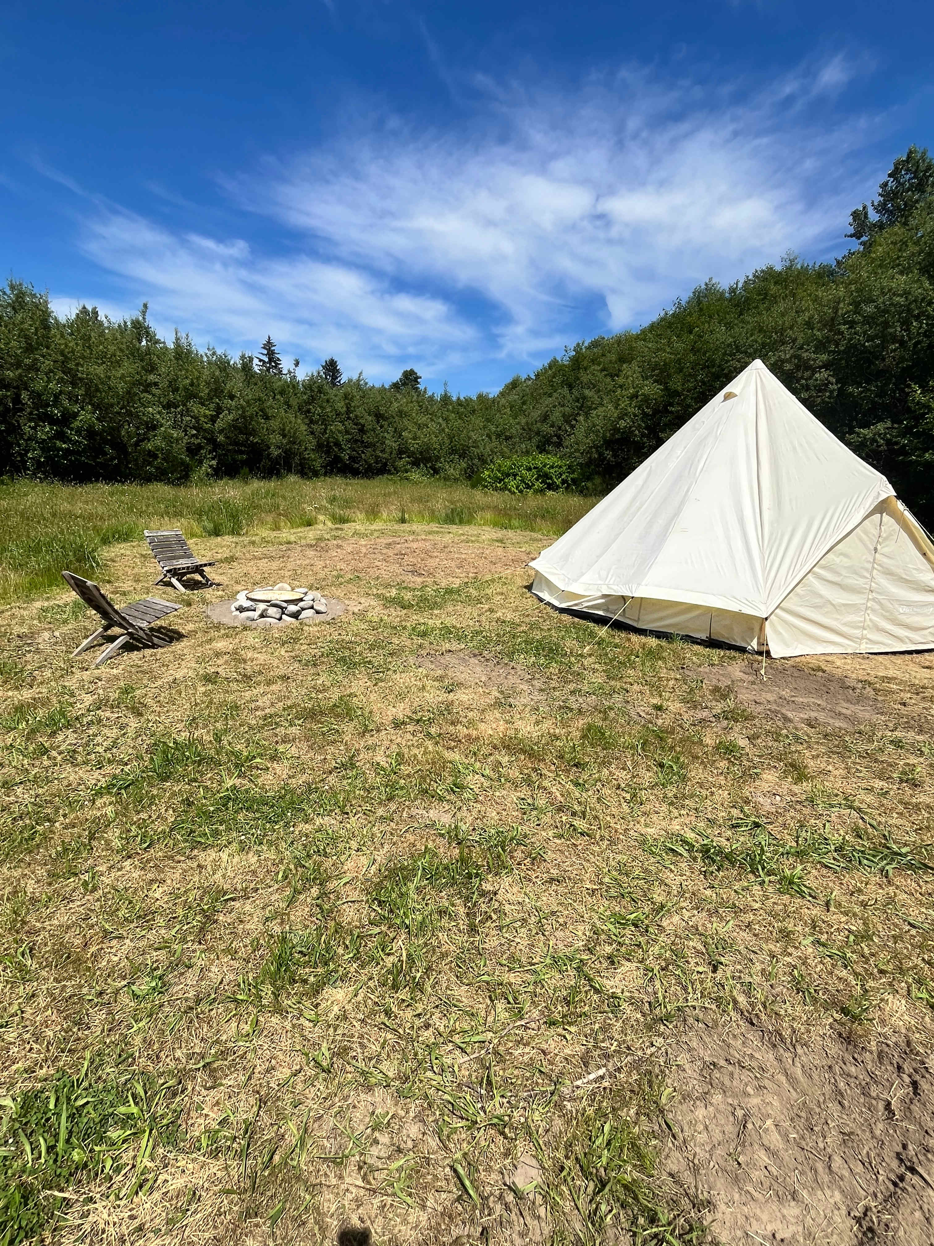 Picture of the site