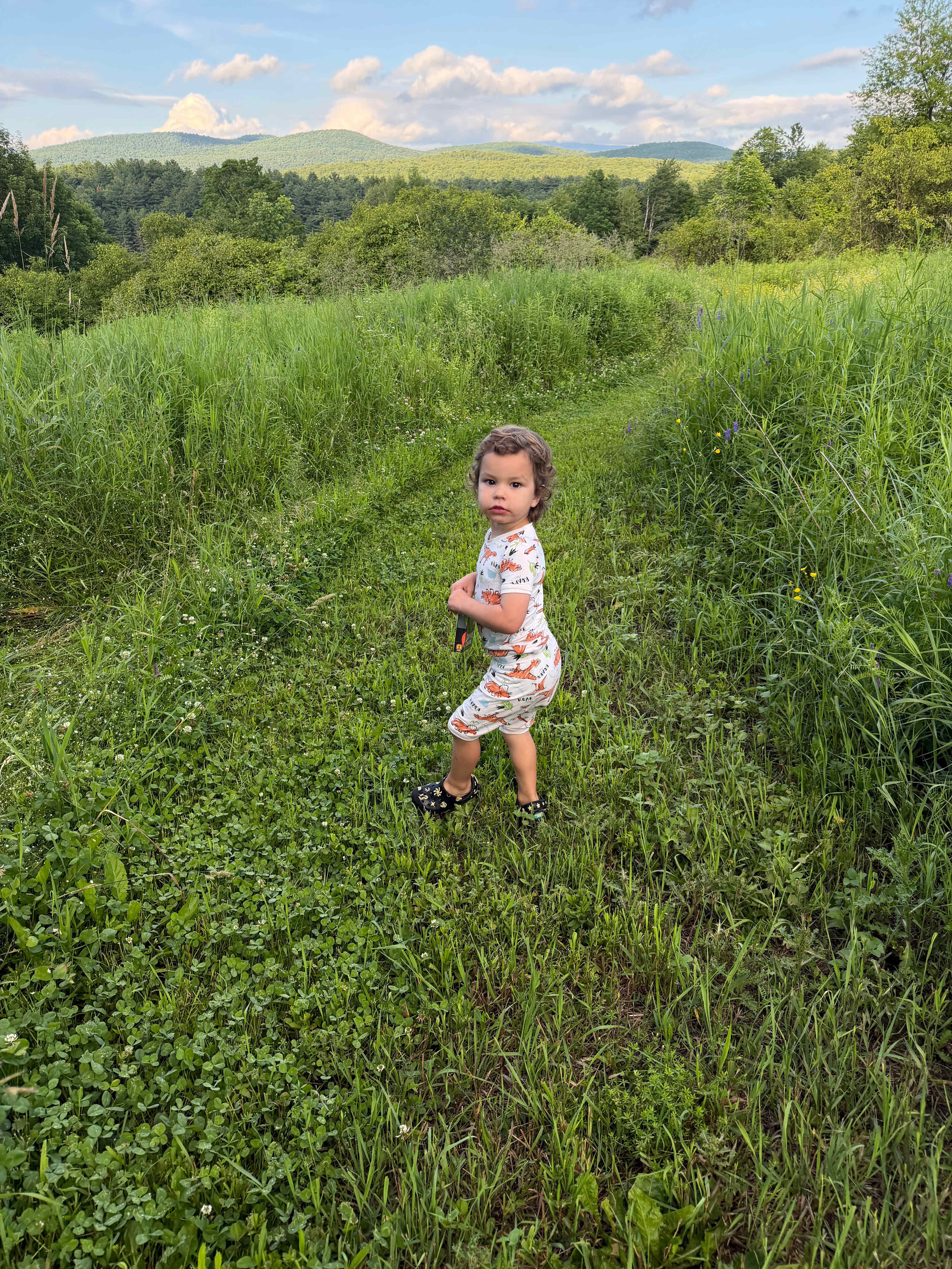 Harold's View Farm