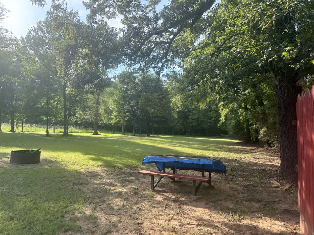 Picture of the site