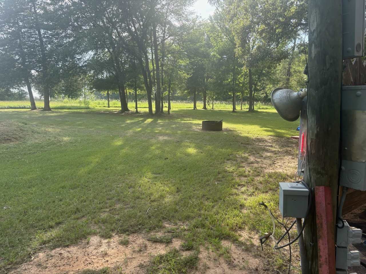 Picture of the site