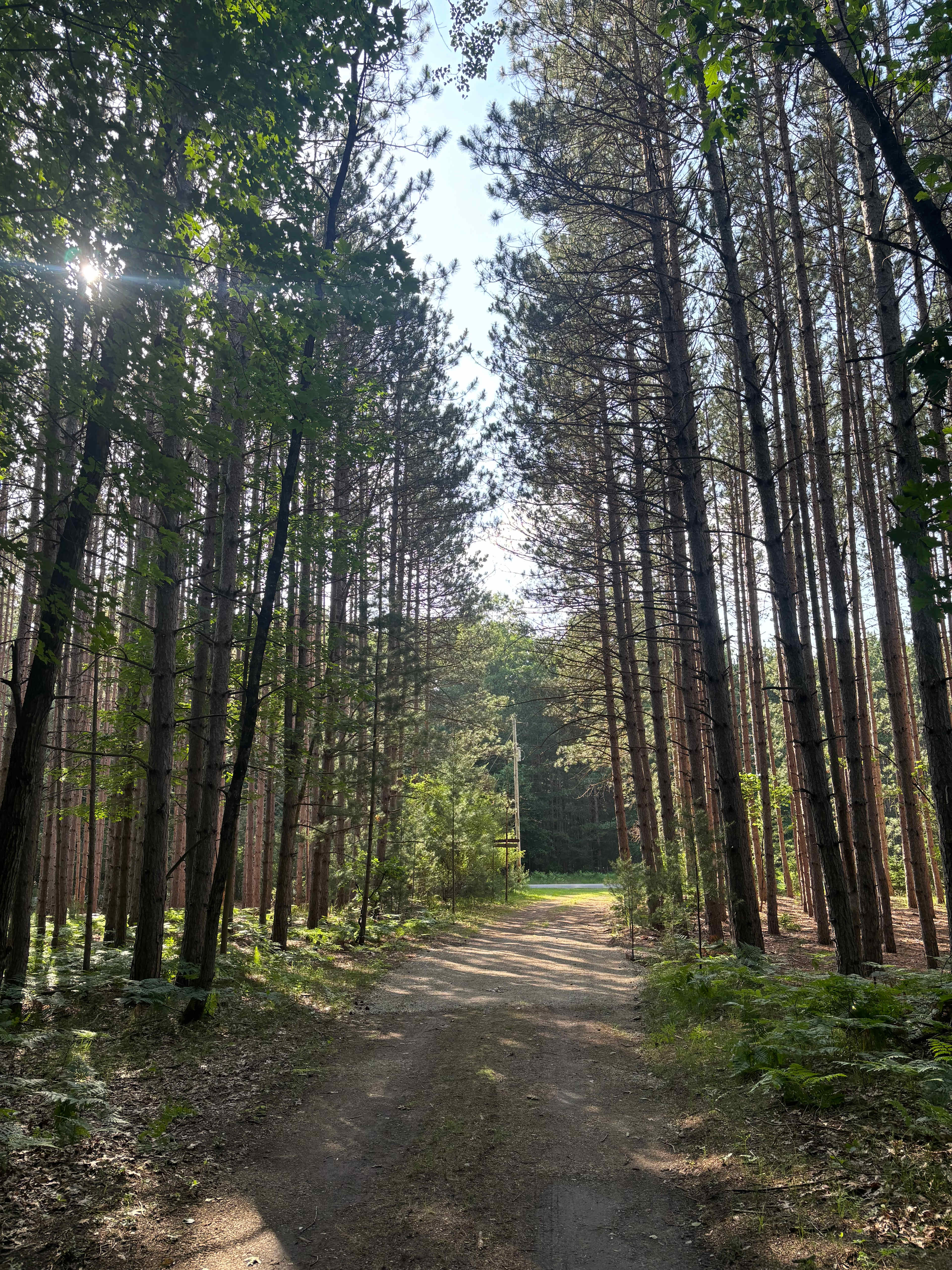 Driveway