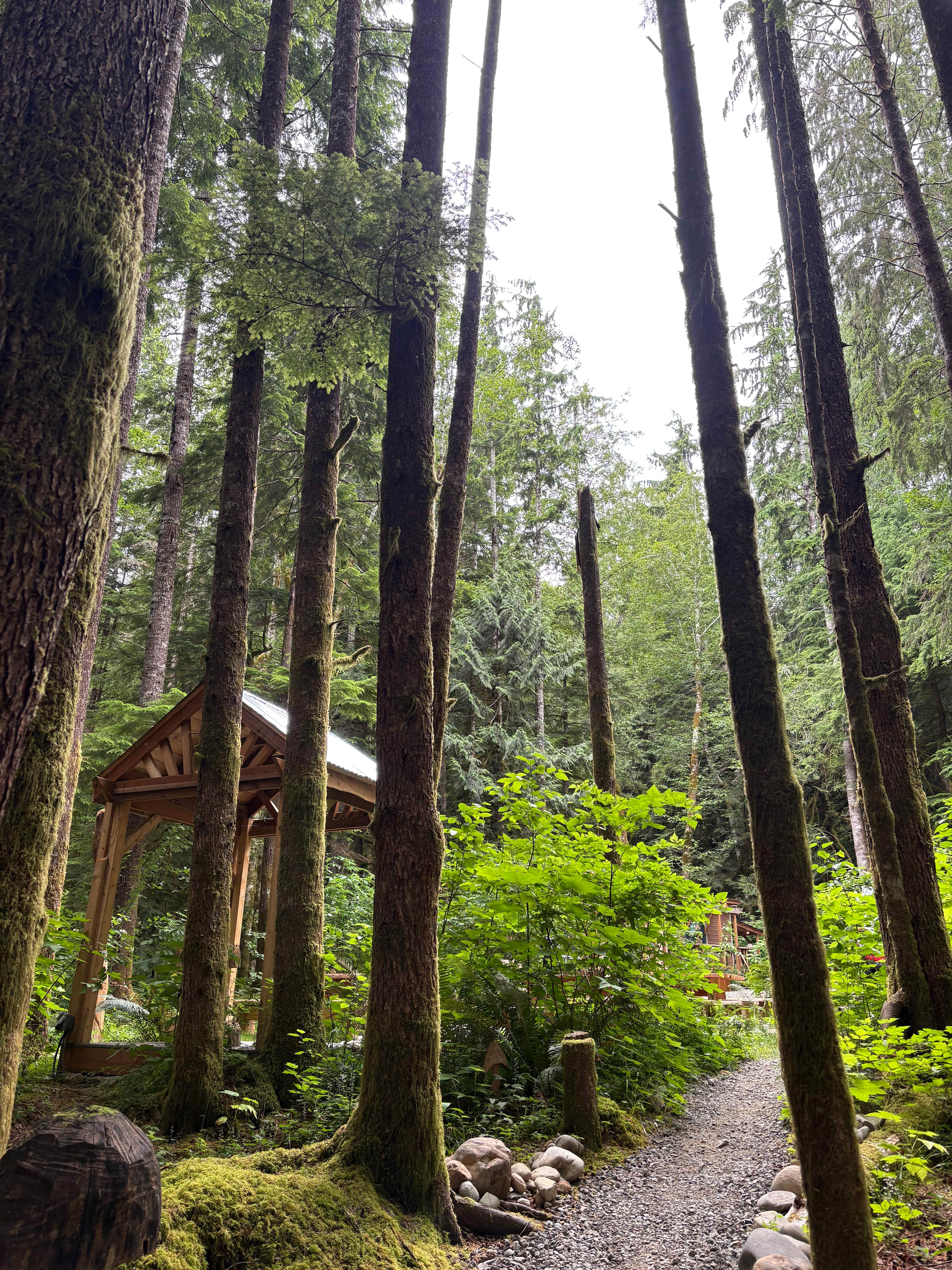 sol duc rainforest retreat