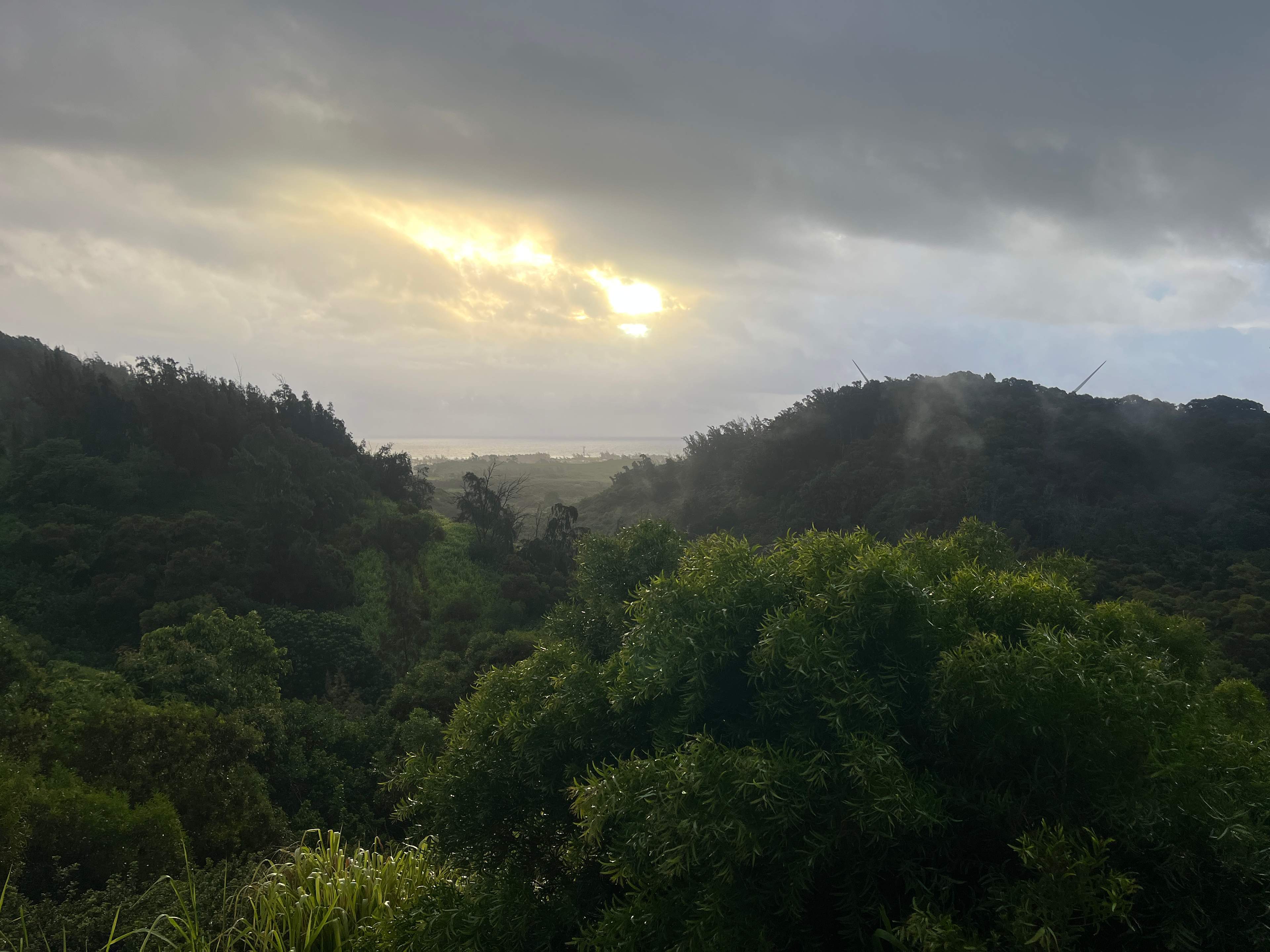 Green Hills Organic Farm