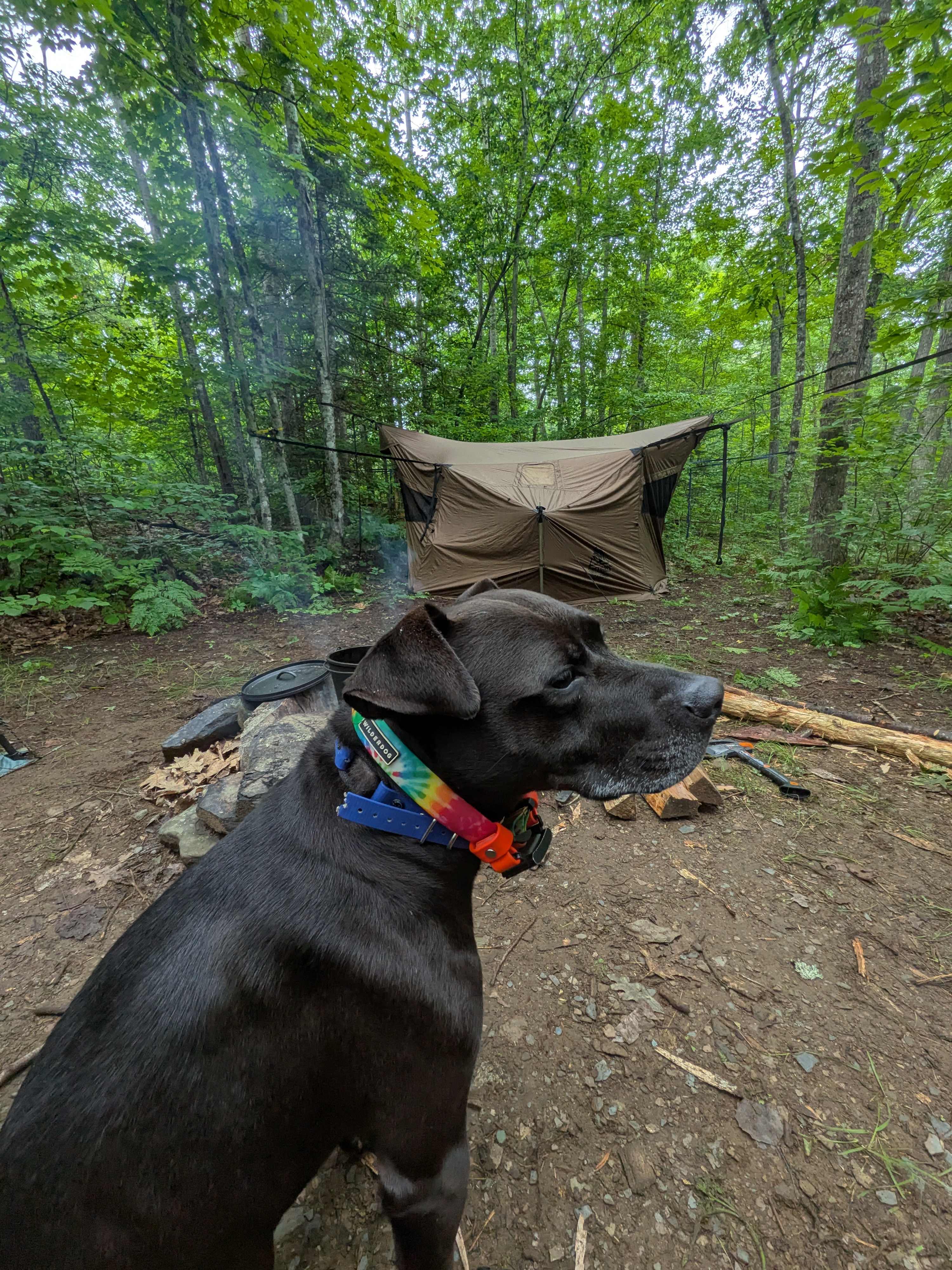River Run Off-grid Cabins & Camping