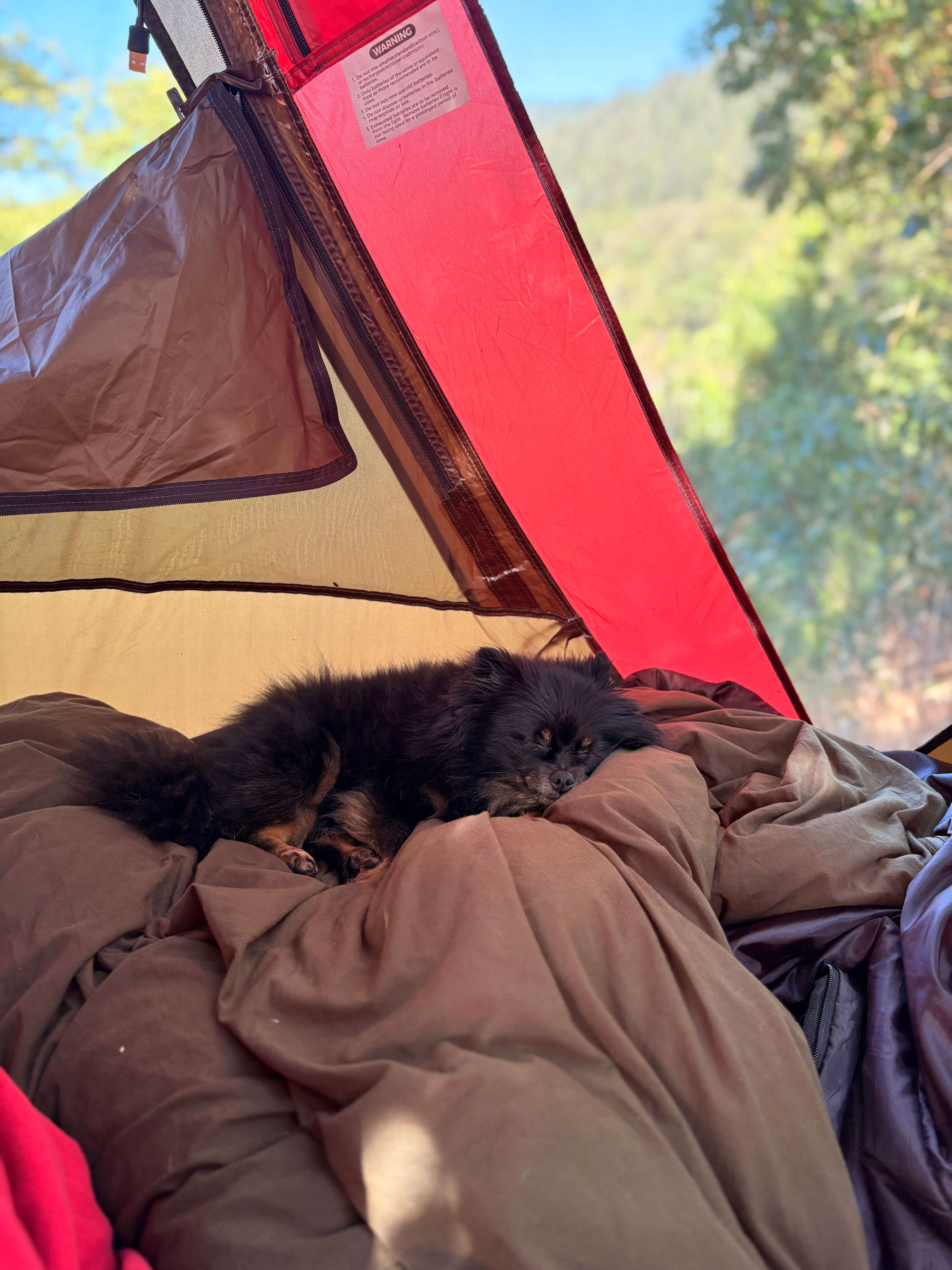 Comfy for a dog with a view of the river!