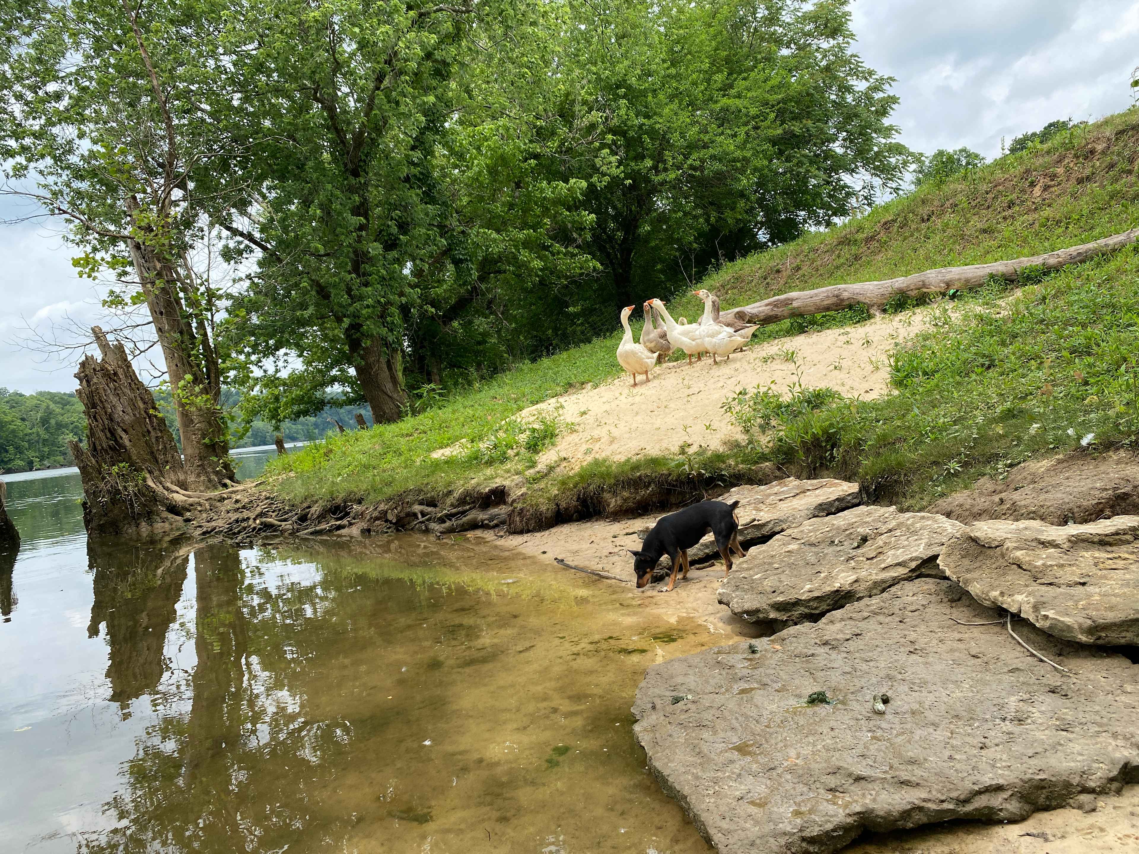 Picture of the site