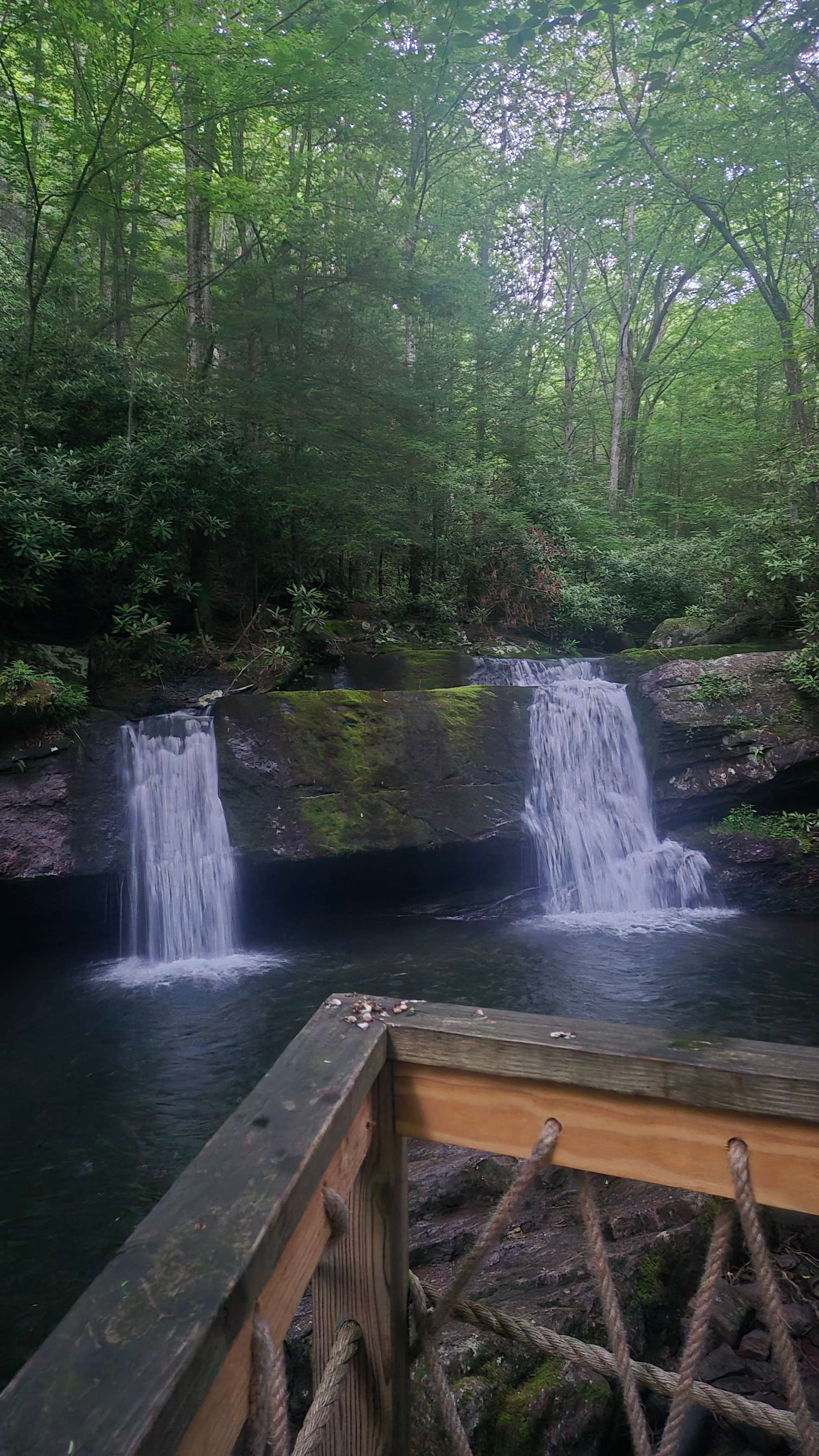 Camp Dietrich on Bear Creek