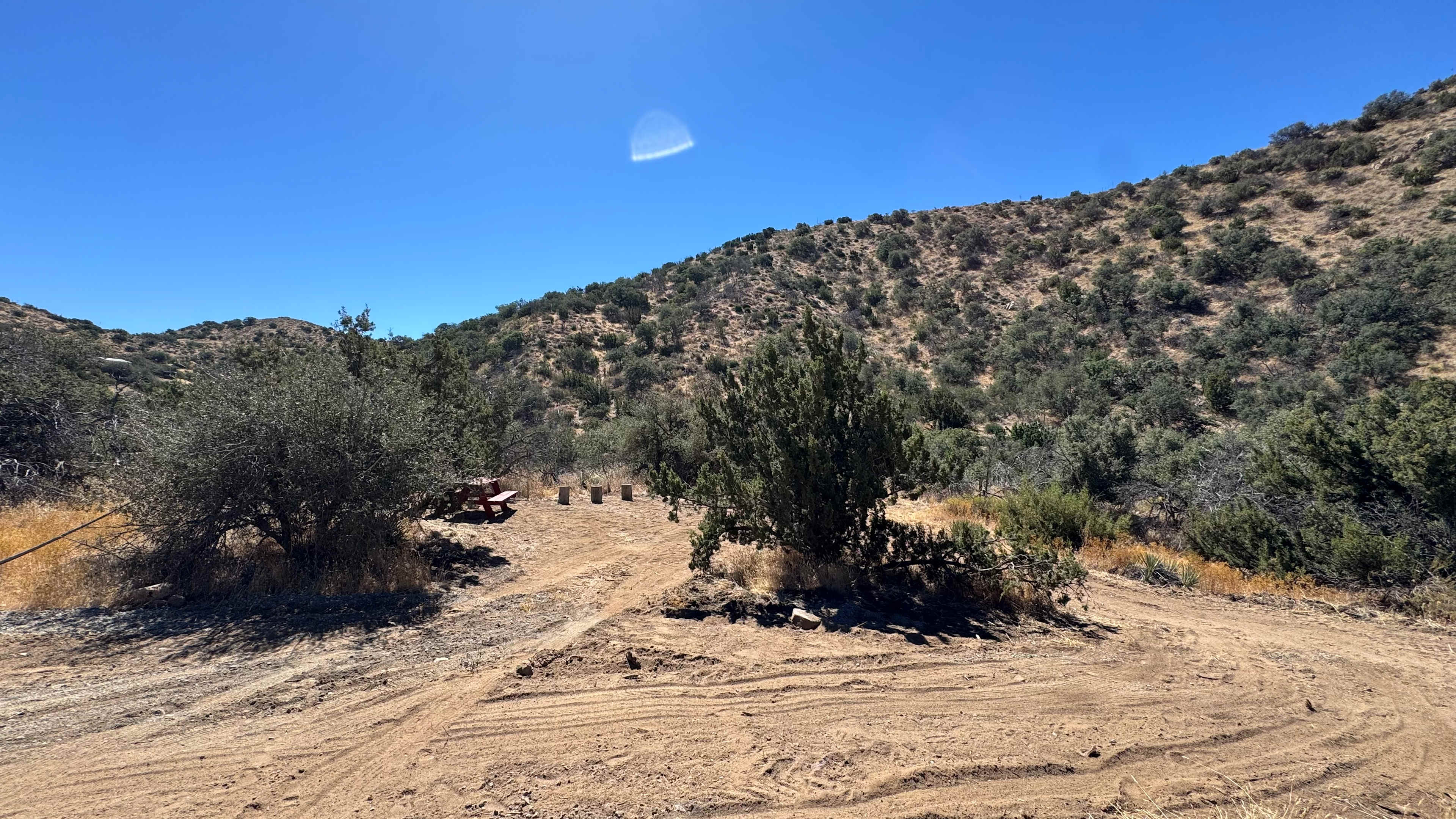 Picture of the site