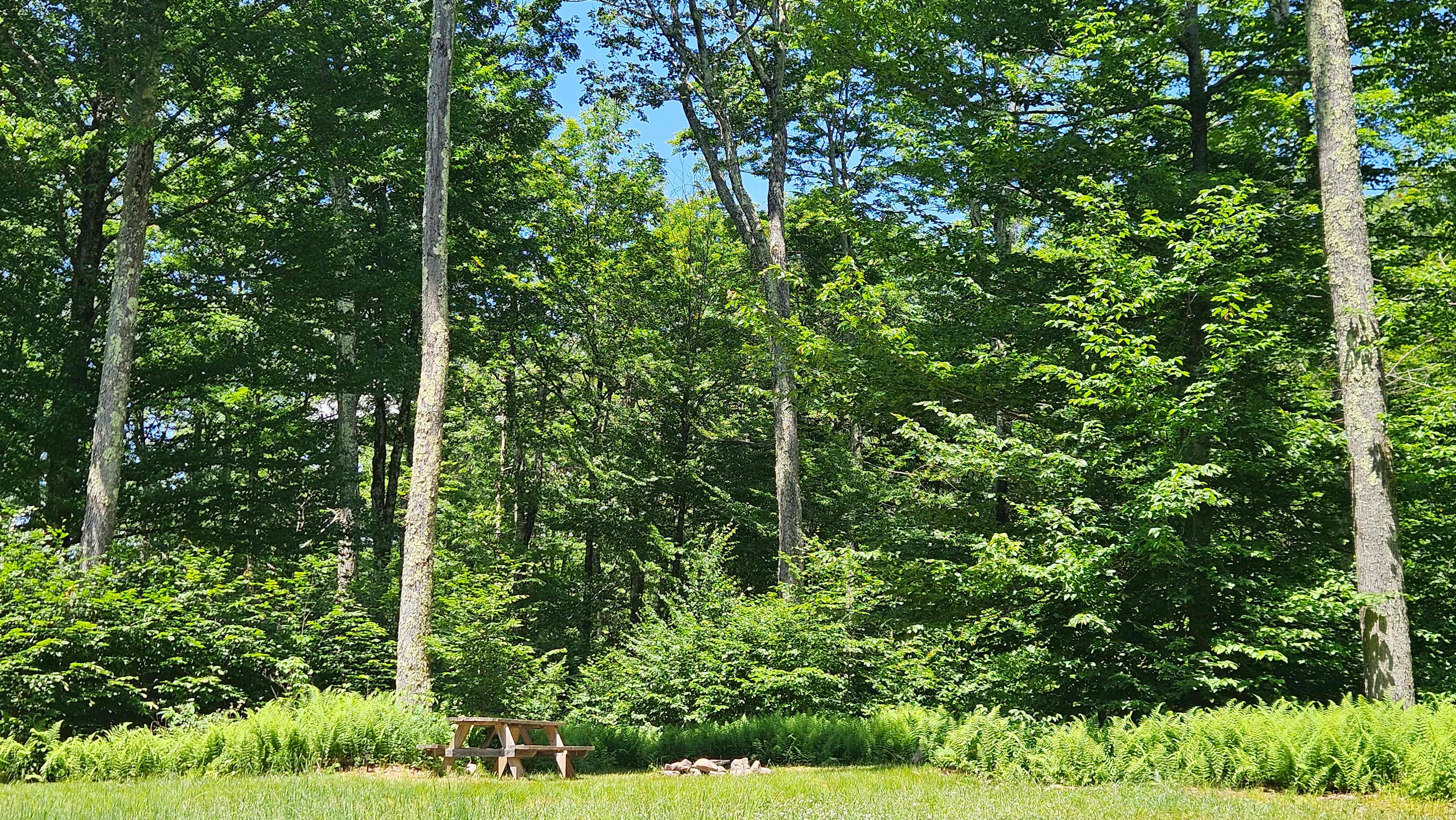 Meadows site
