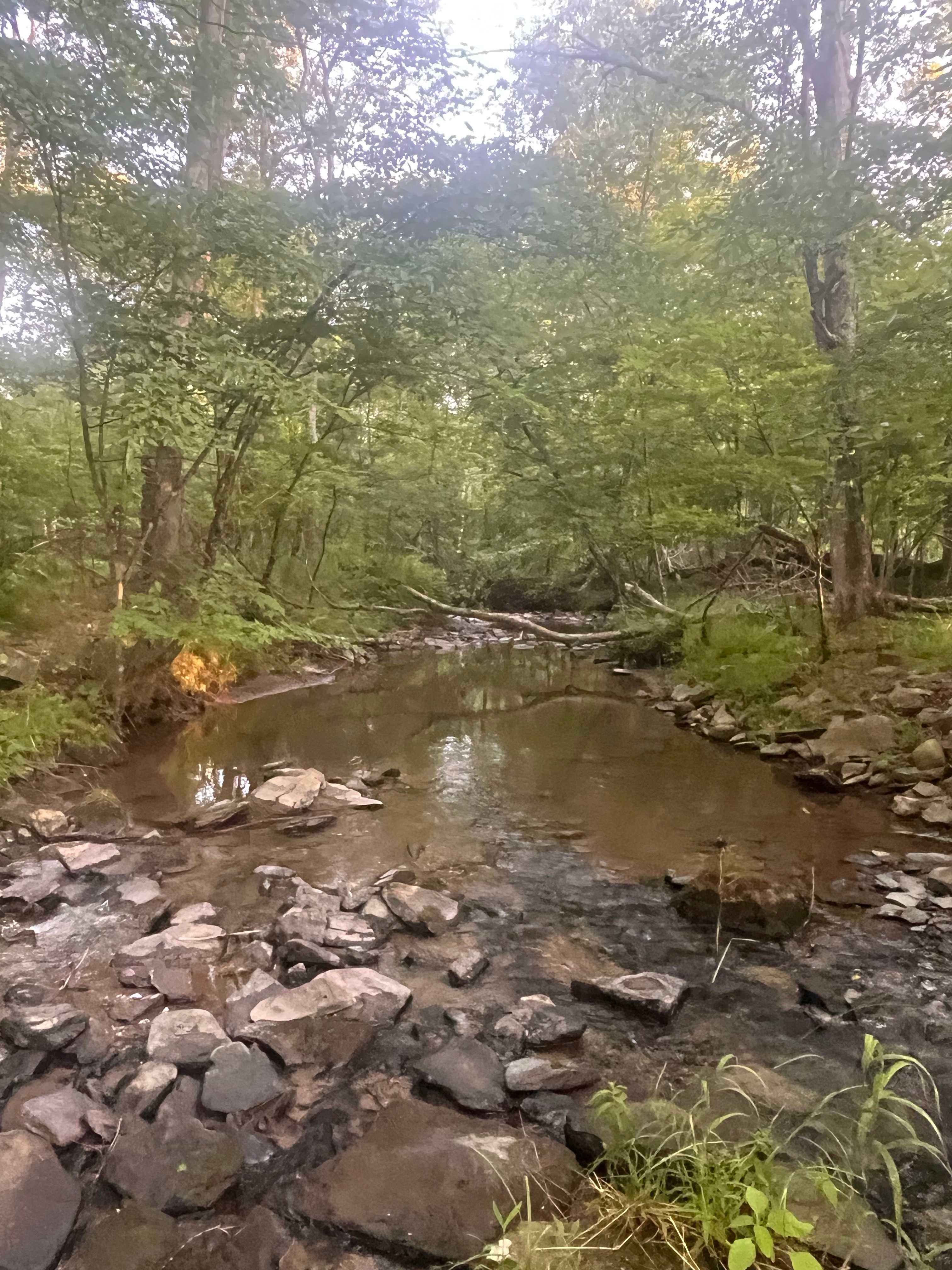 Reyburn Creek