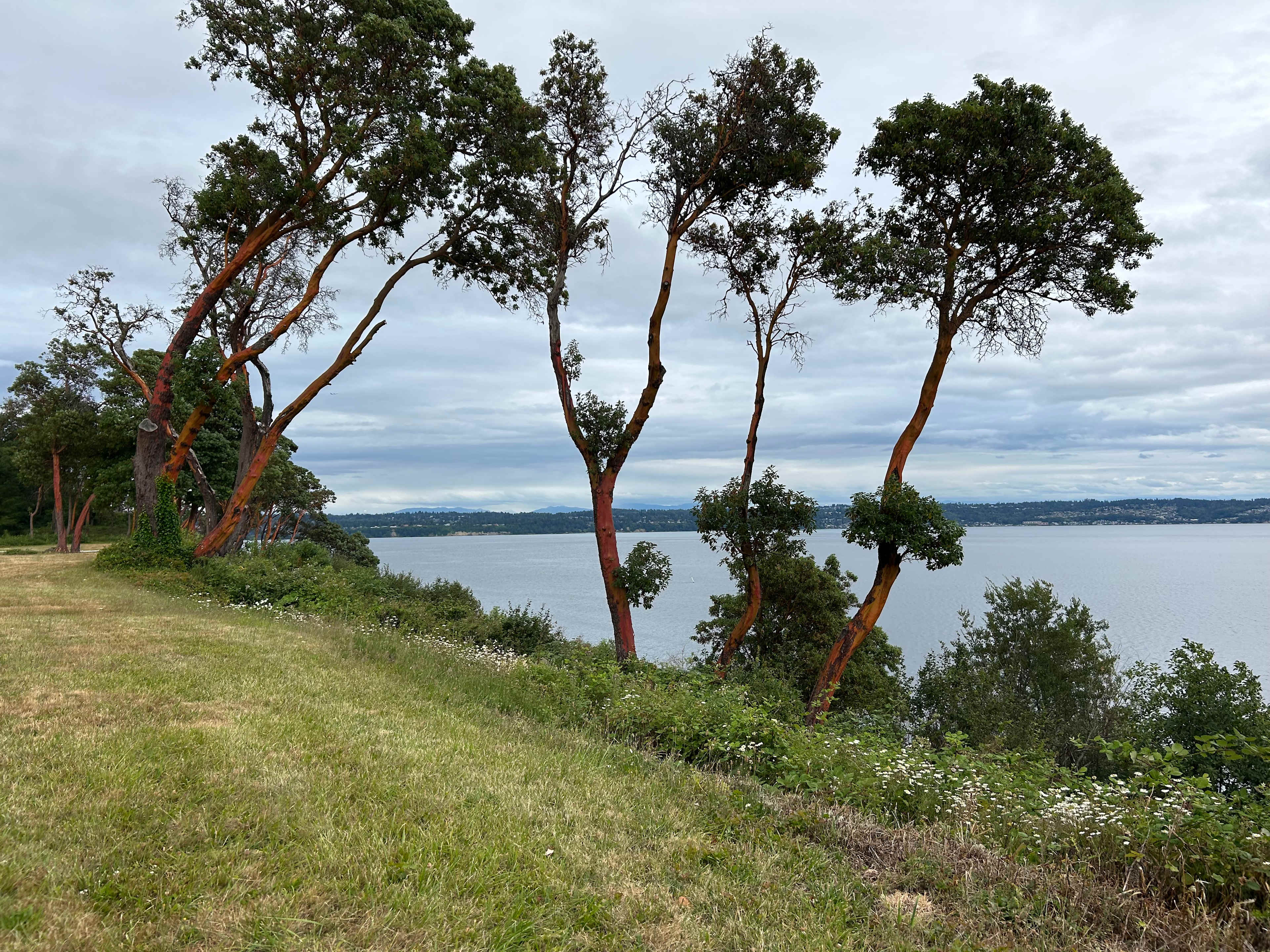 Another view from the site
