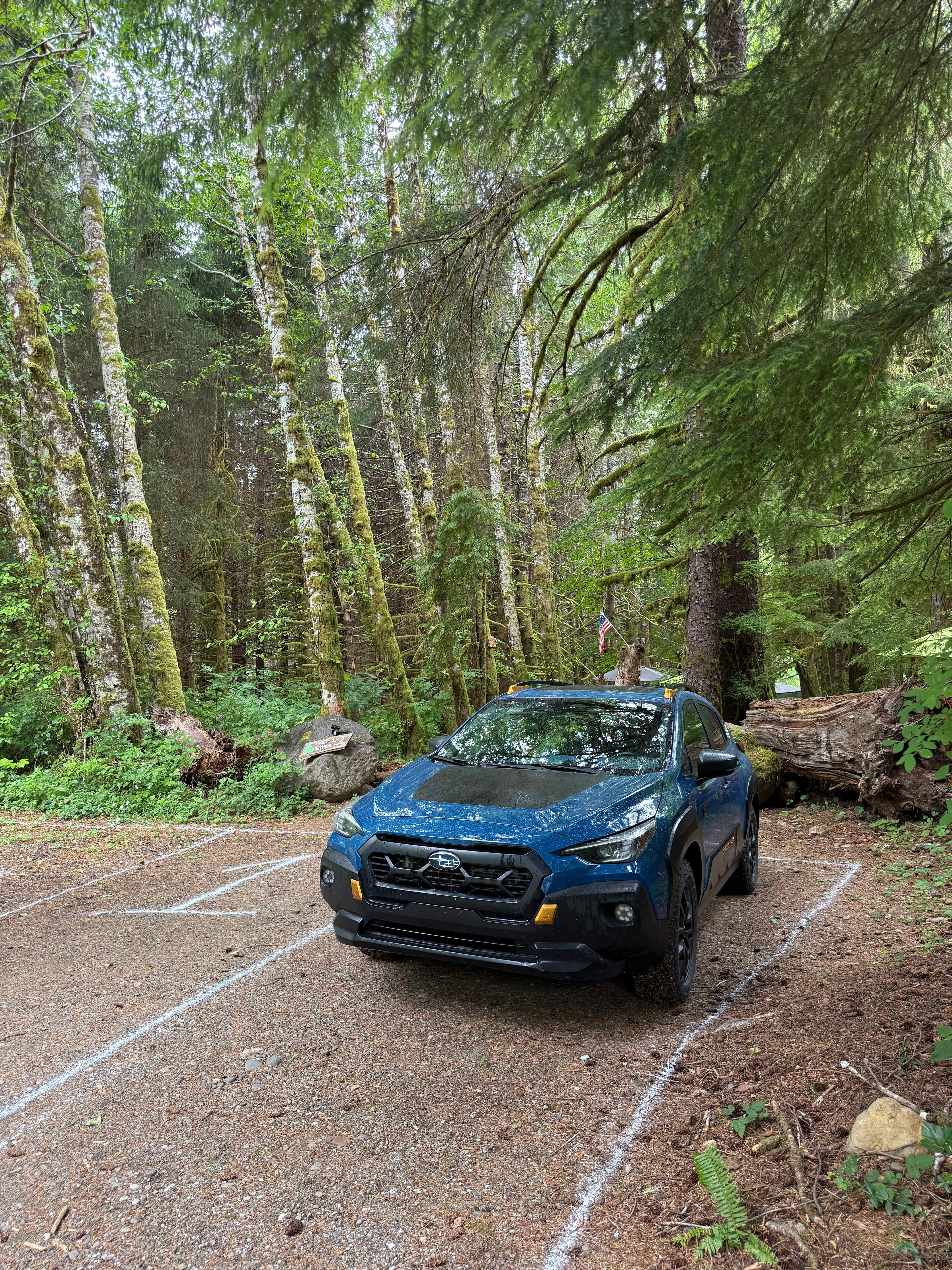 Dawleys SolDuc River Campground
