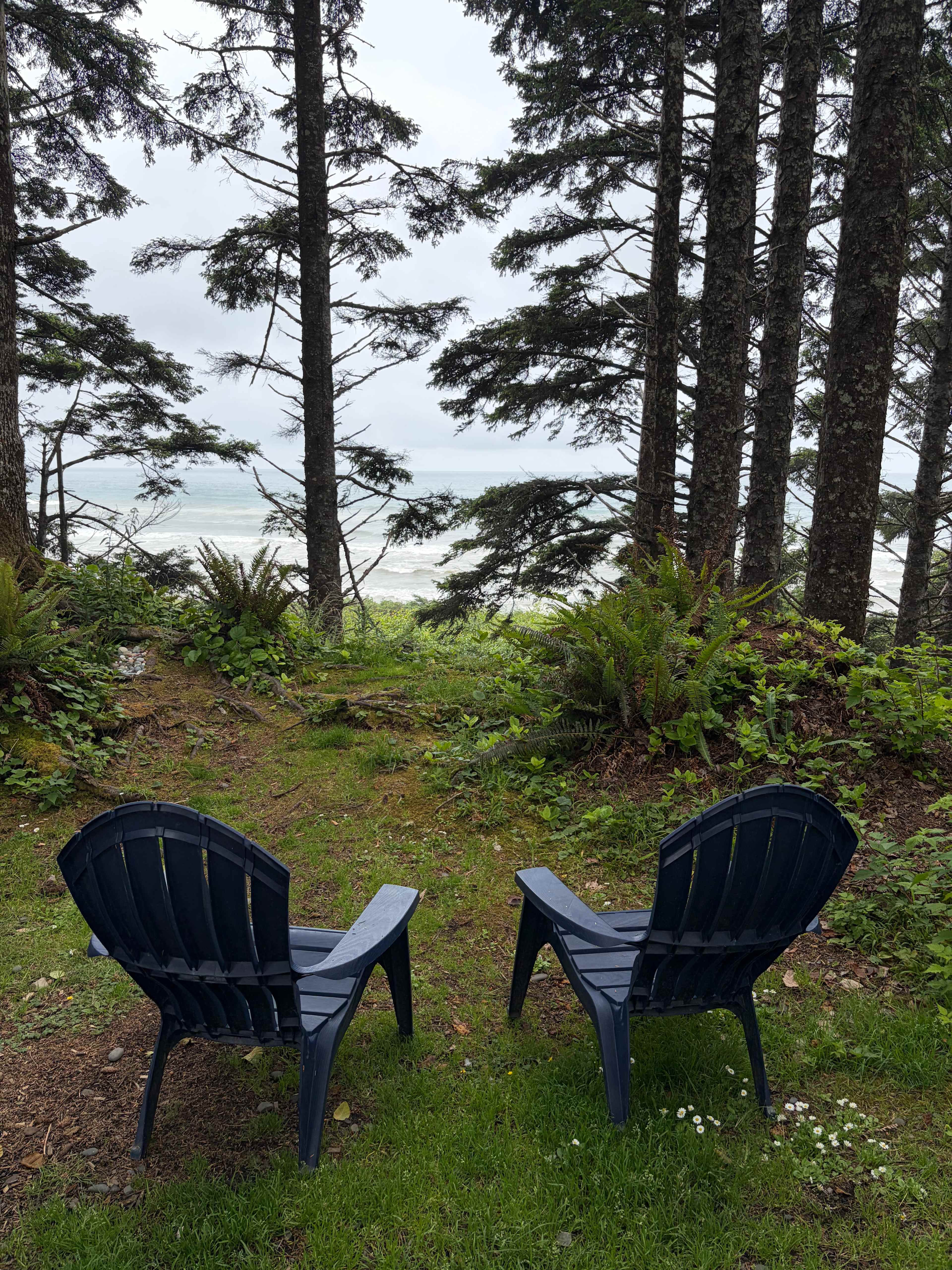 Aliya Preserve—WA Coast Eco-Retreat