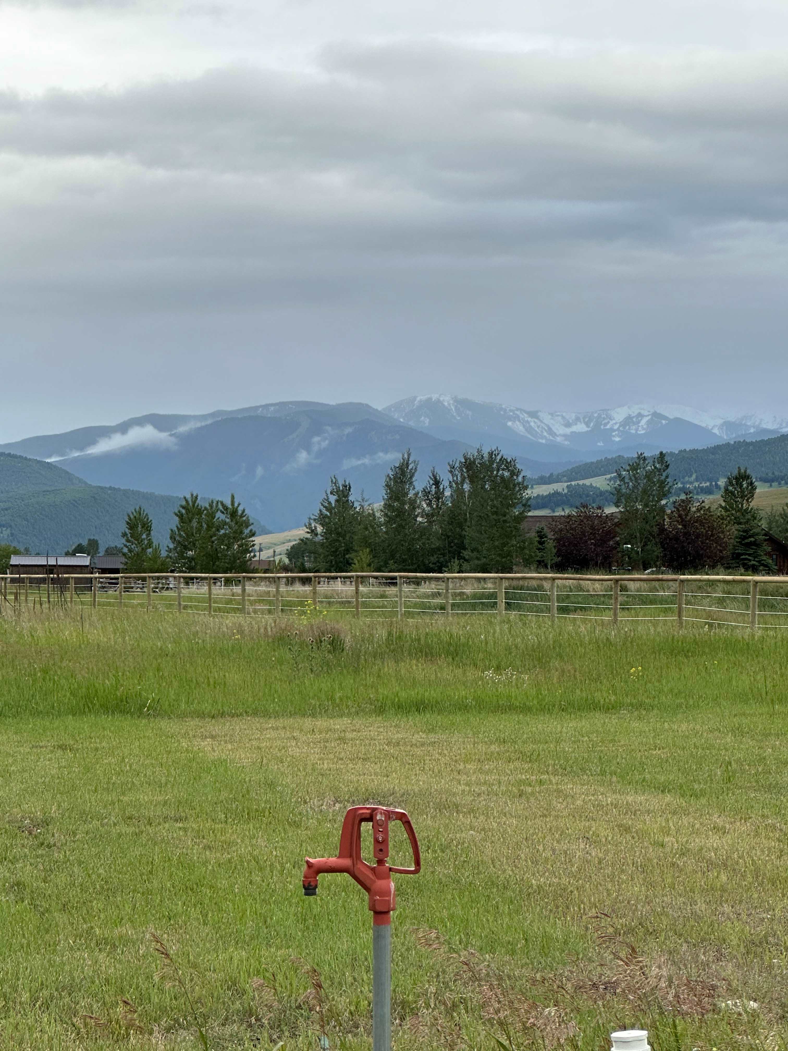 Cloud Nine Equine Ranch
