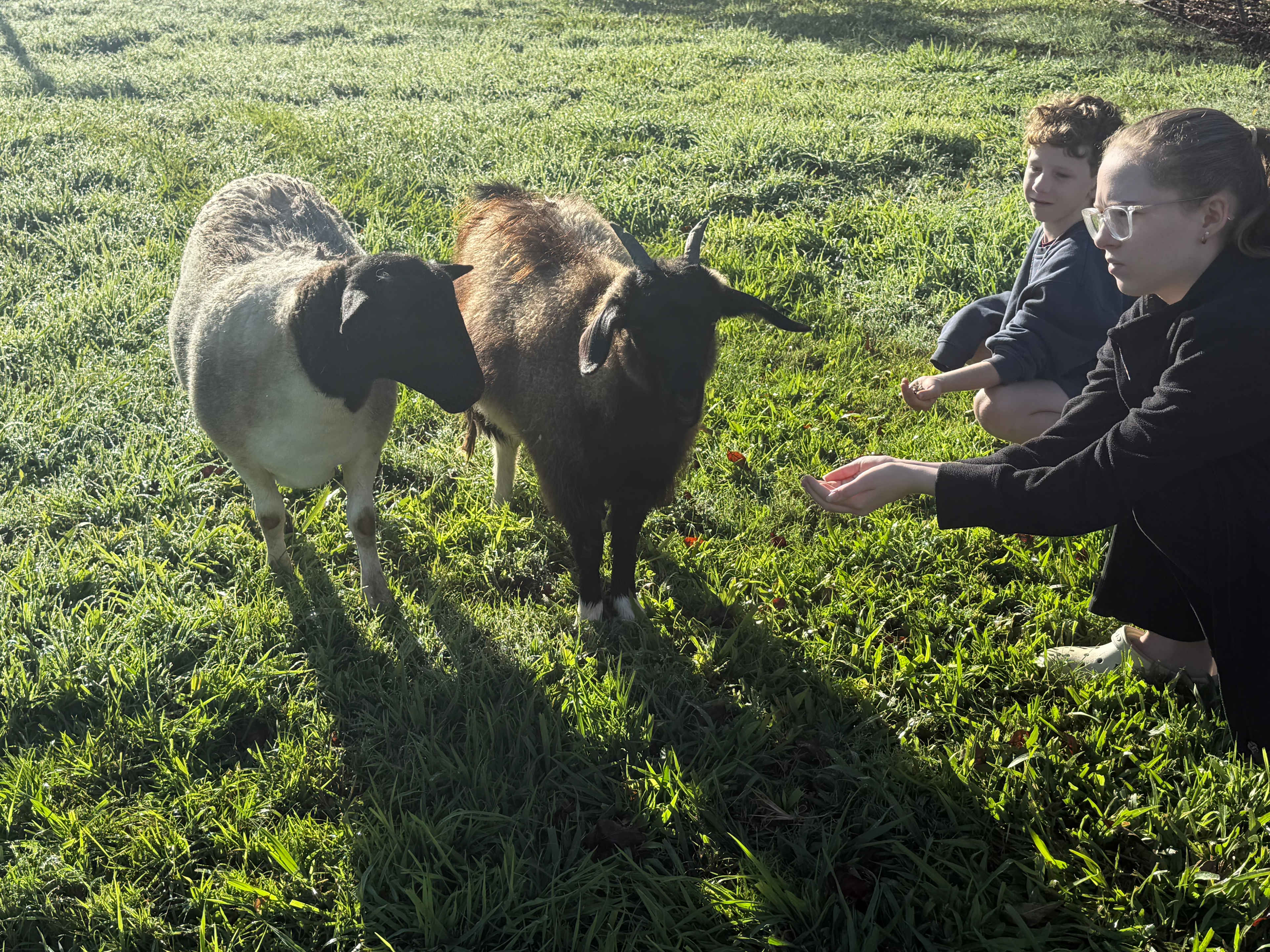 Hinterviews Farm-Stay