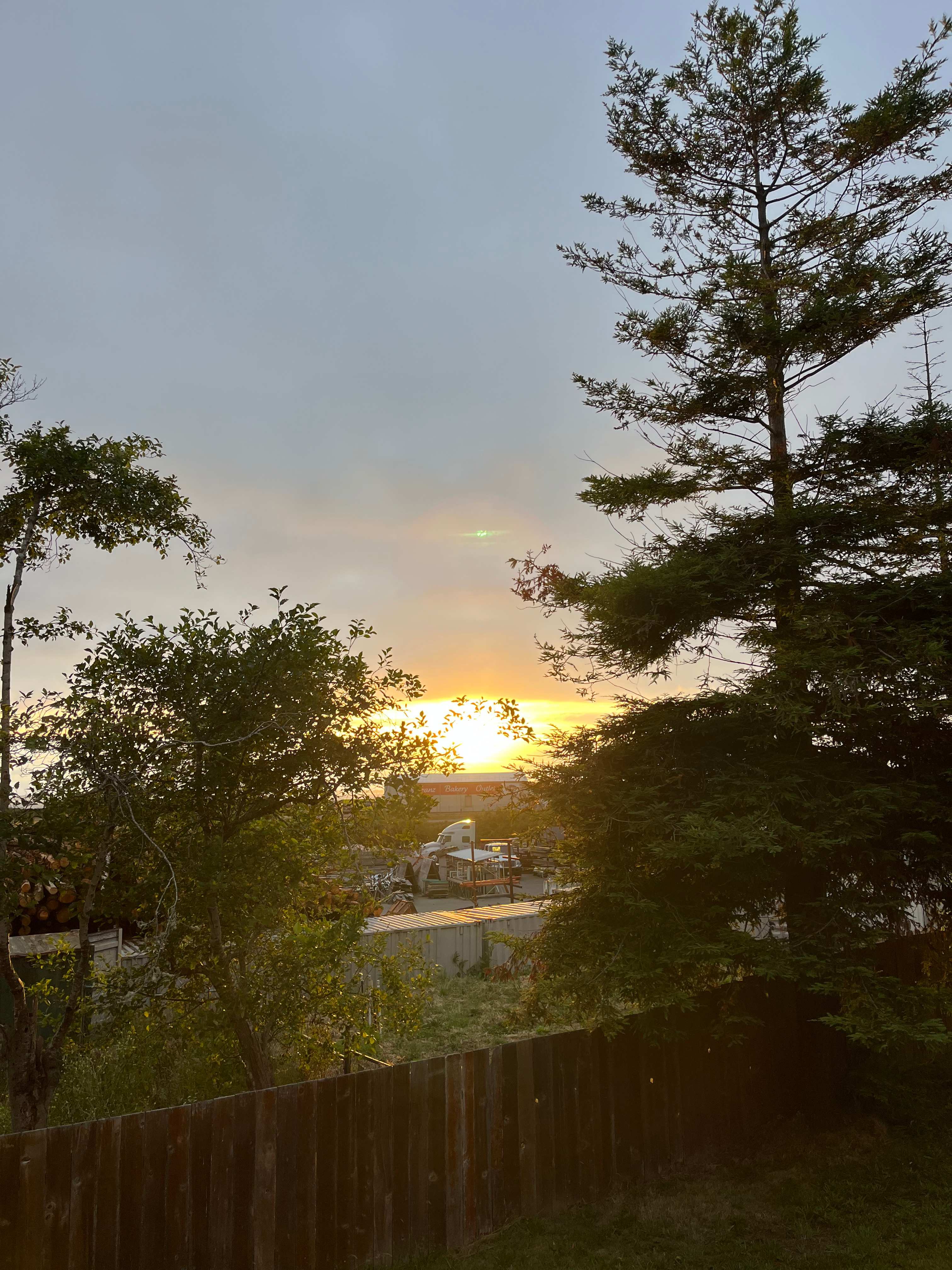 View from the office back porch