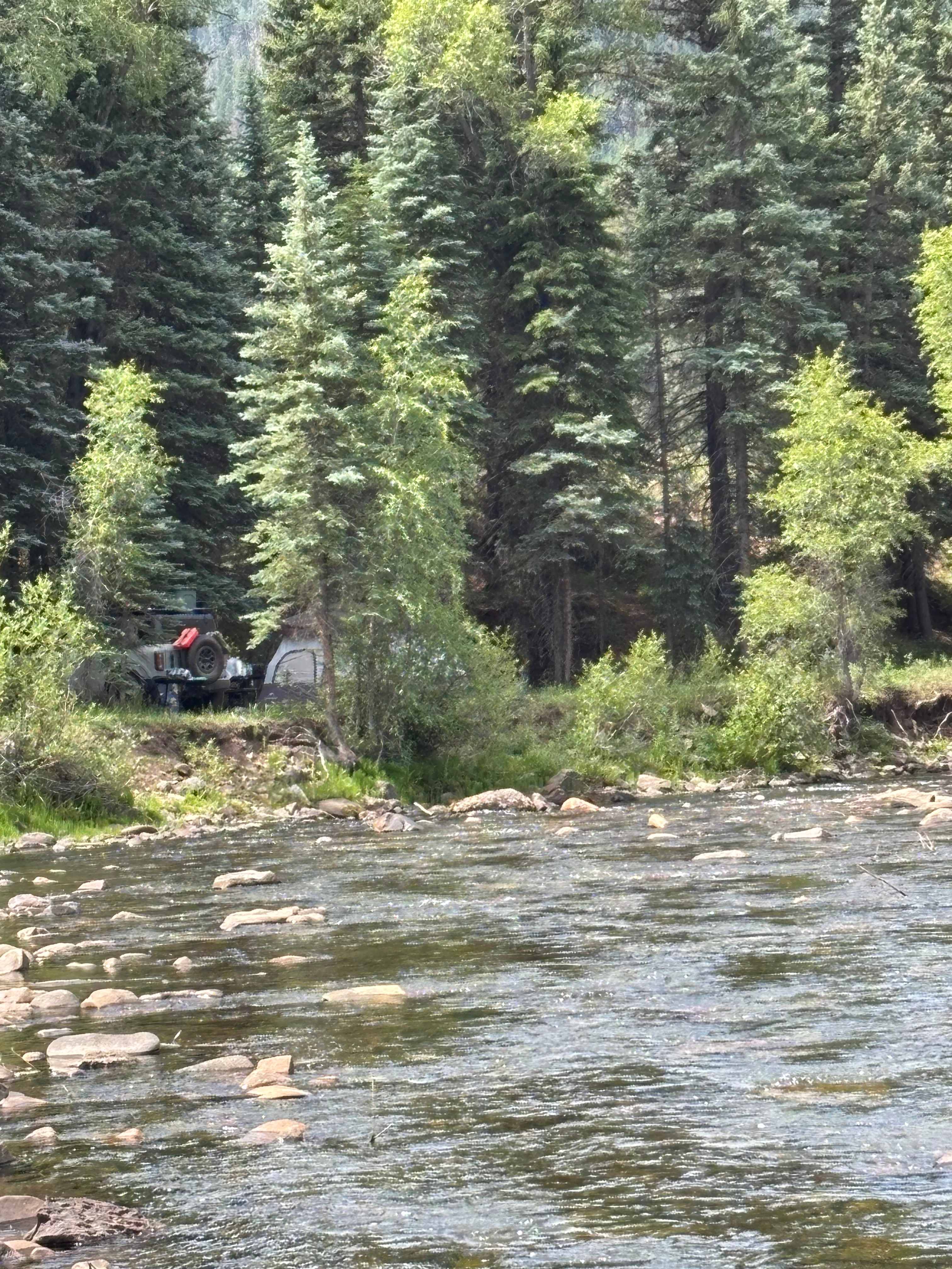 Lazy Rooster Ranch