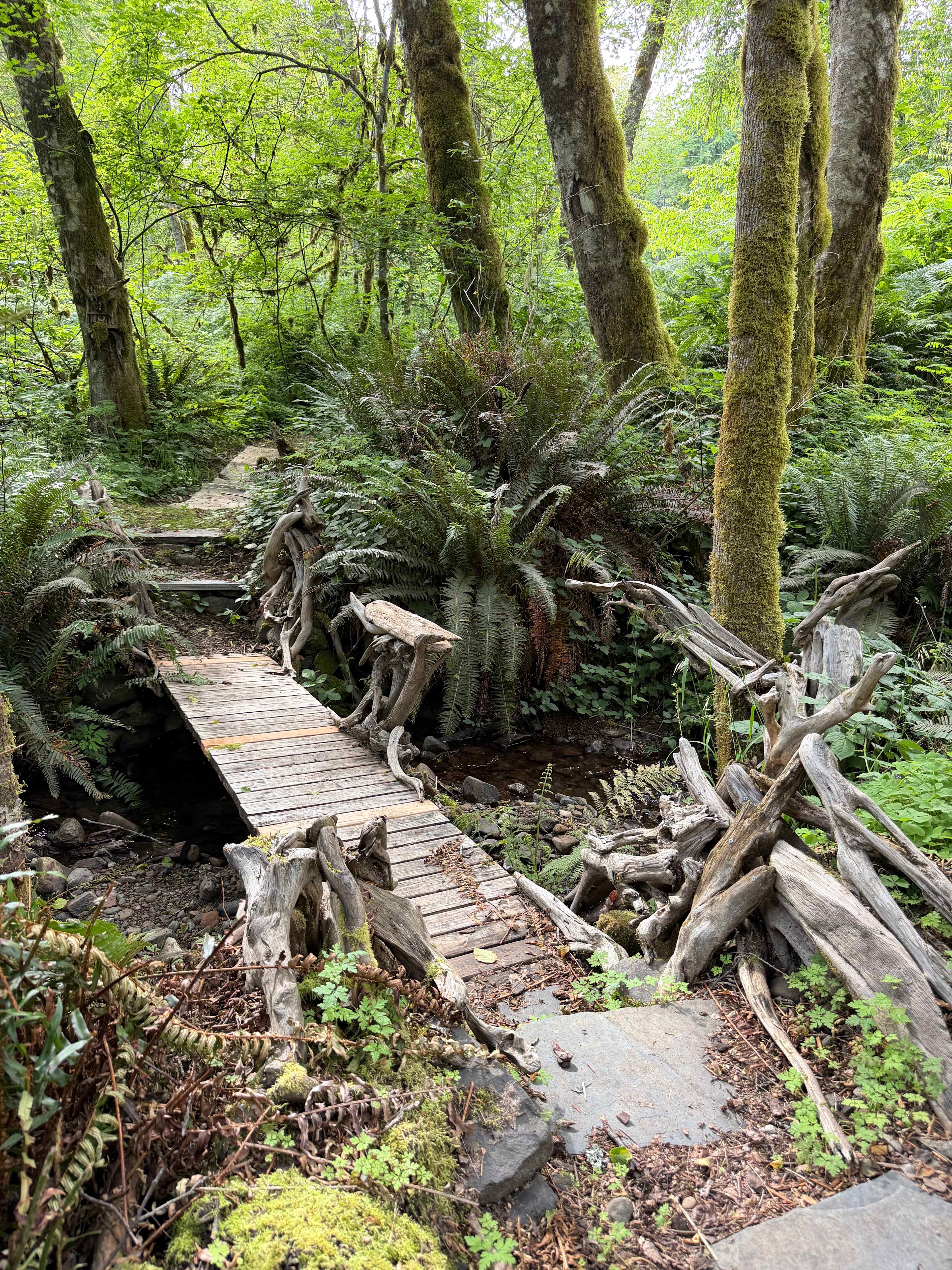 The Enchanted Forest