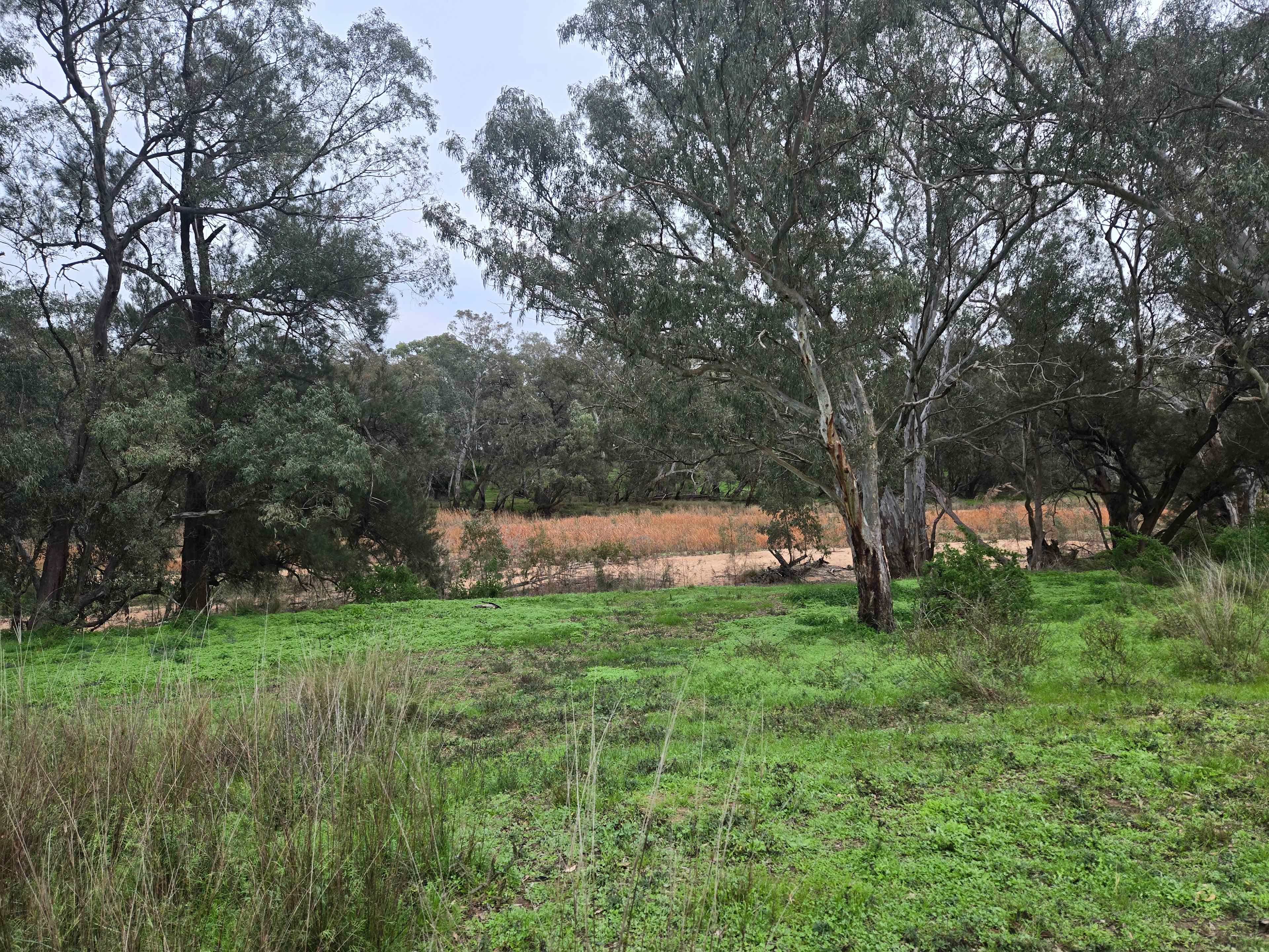 Breelong Valley